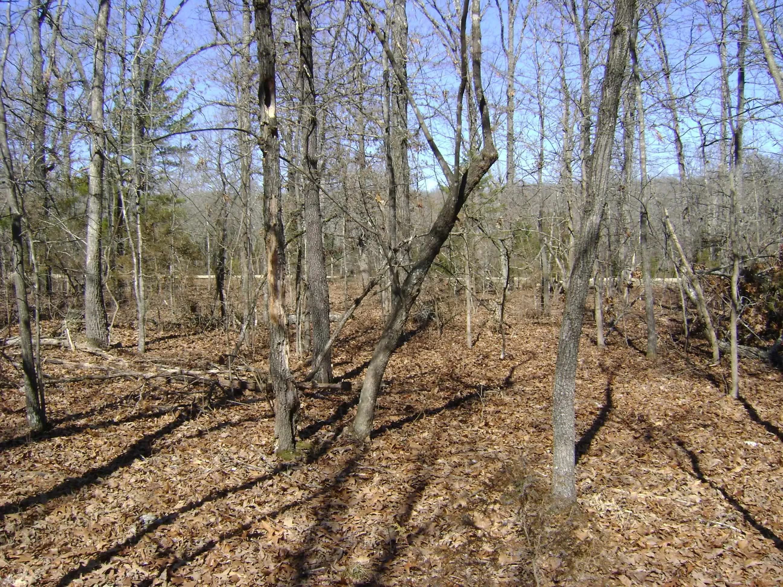Property at 1111  Court loop - Image 16