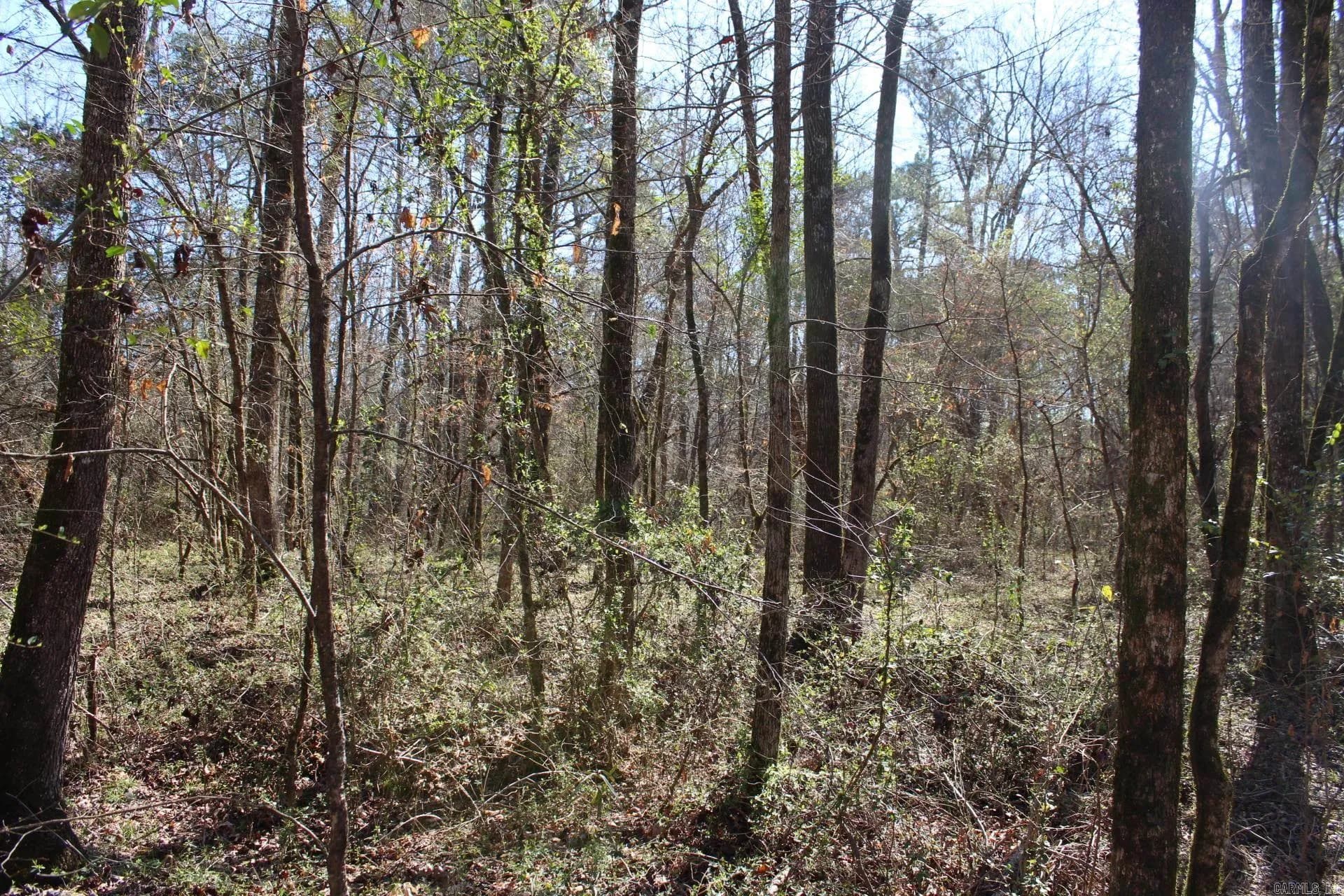 Property at Strawberry Rd.  Road - Image 2
