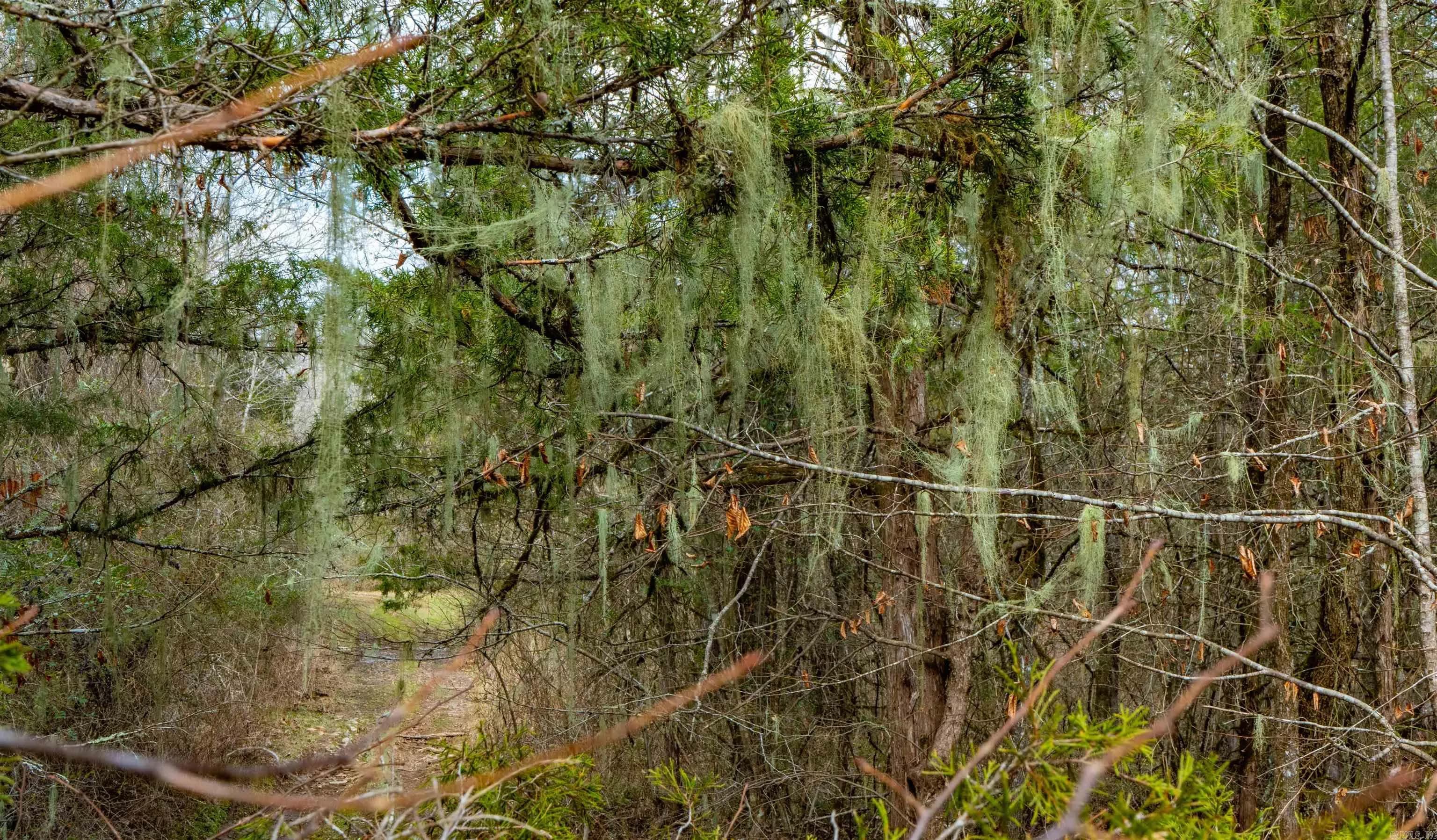 Property at 165  Rock springs - Image 16