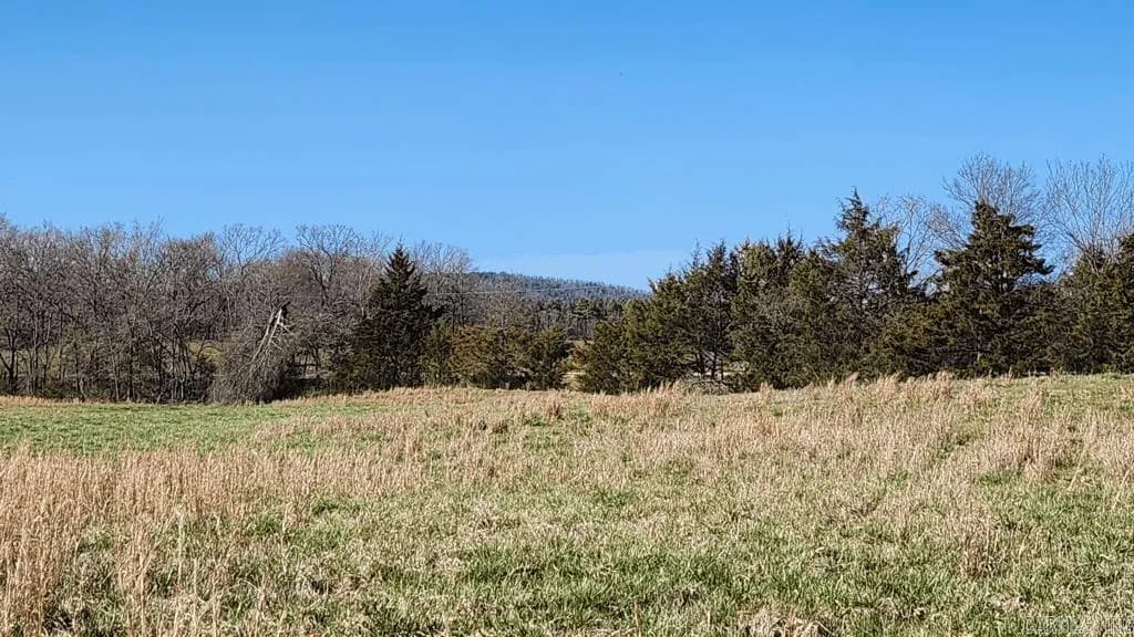 Property at TBD  Highway 298 - Image 19