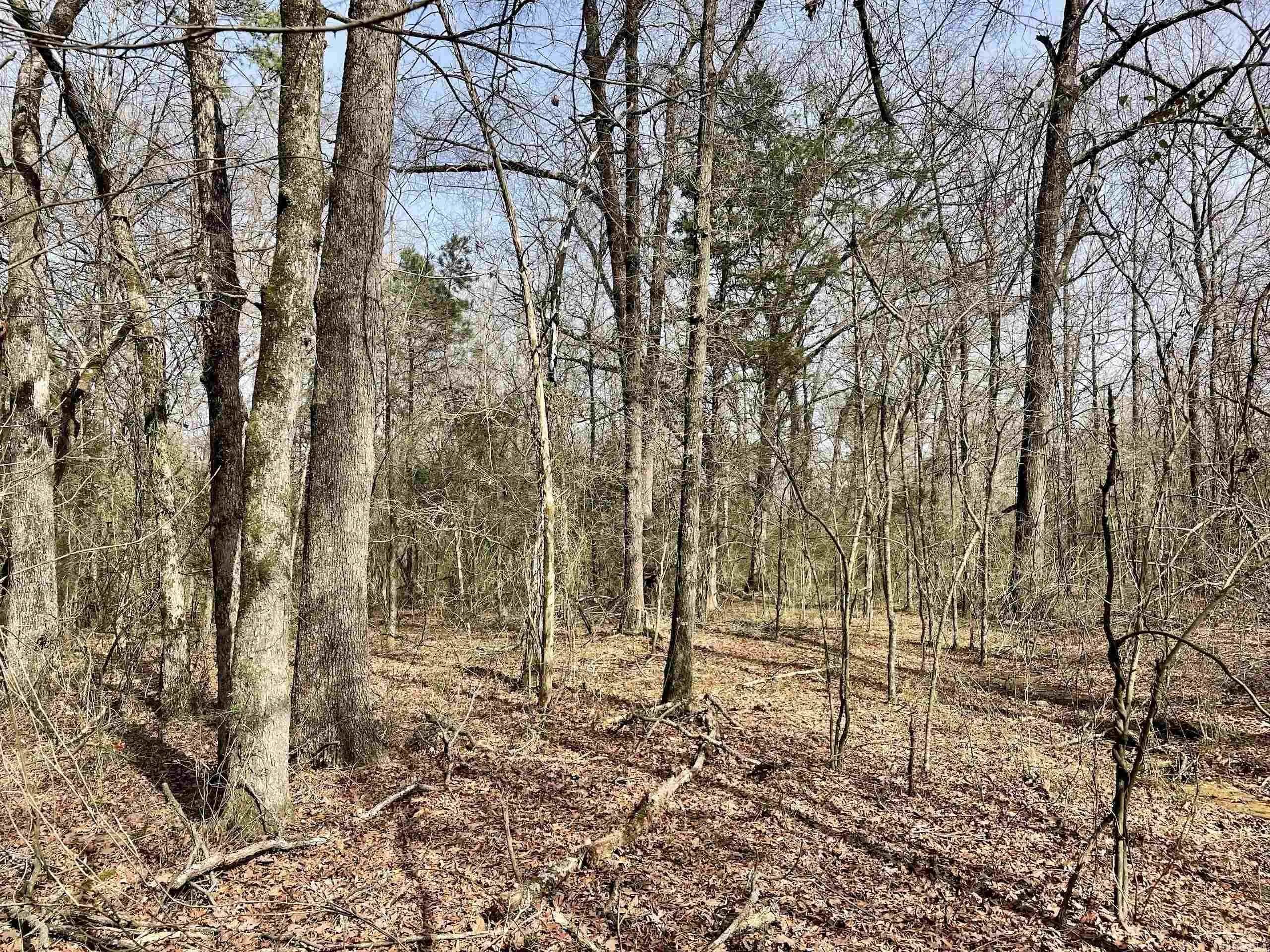 Property at 201  Oak hill - Image 22