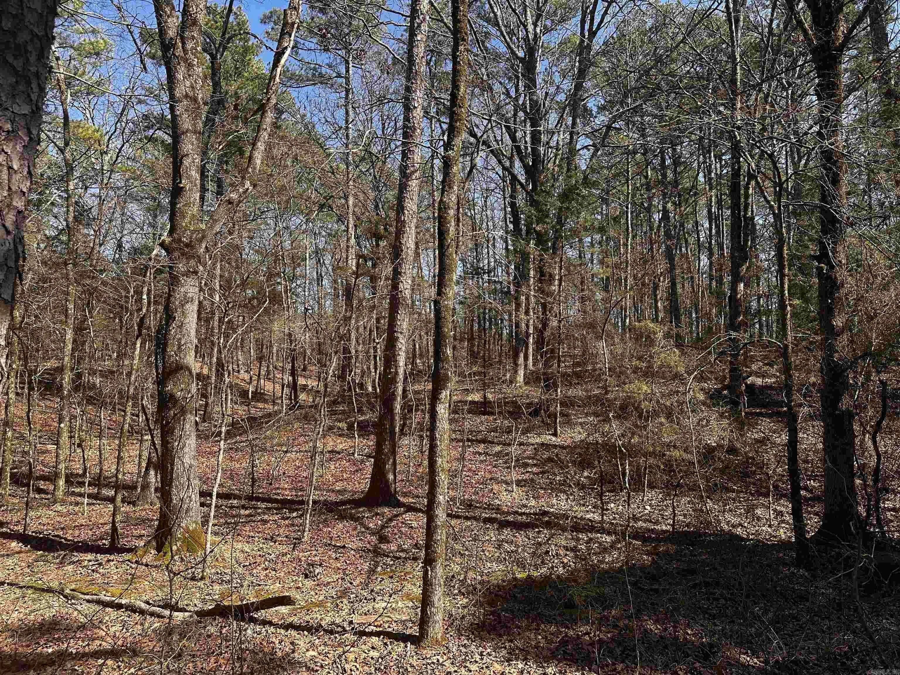 Property at 198  Cathedral pines ln - Image 19