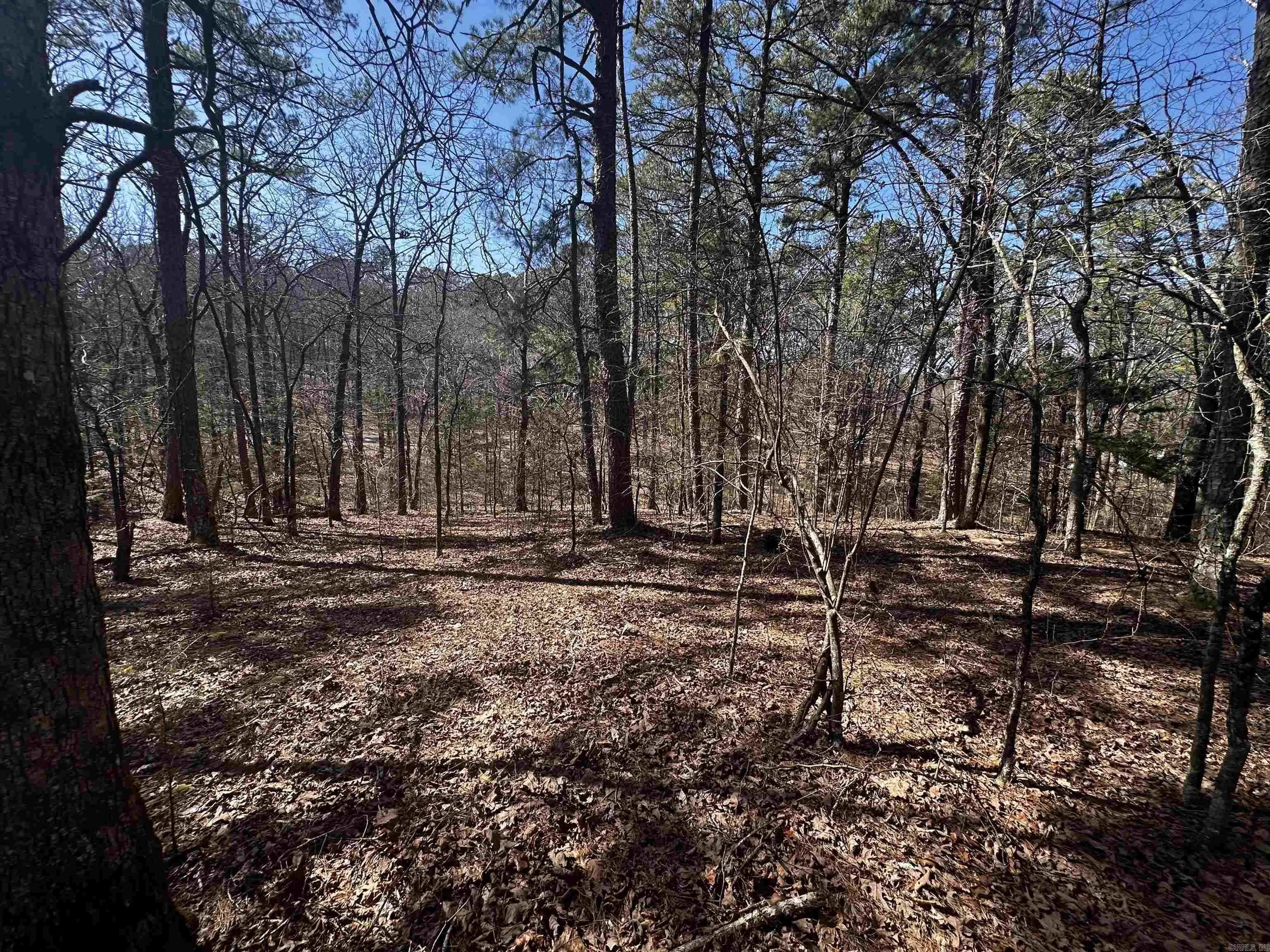 Property at 198  Cathedral pines ln - Image 2