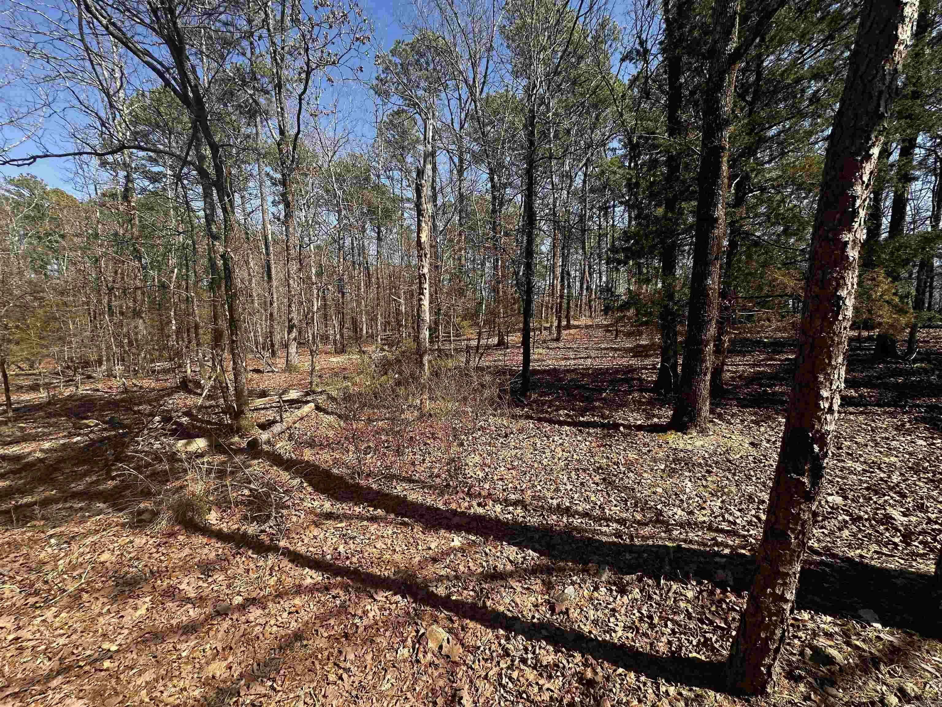 Property at 198  Cathedral pines ln - Image 29