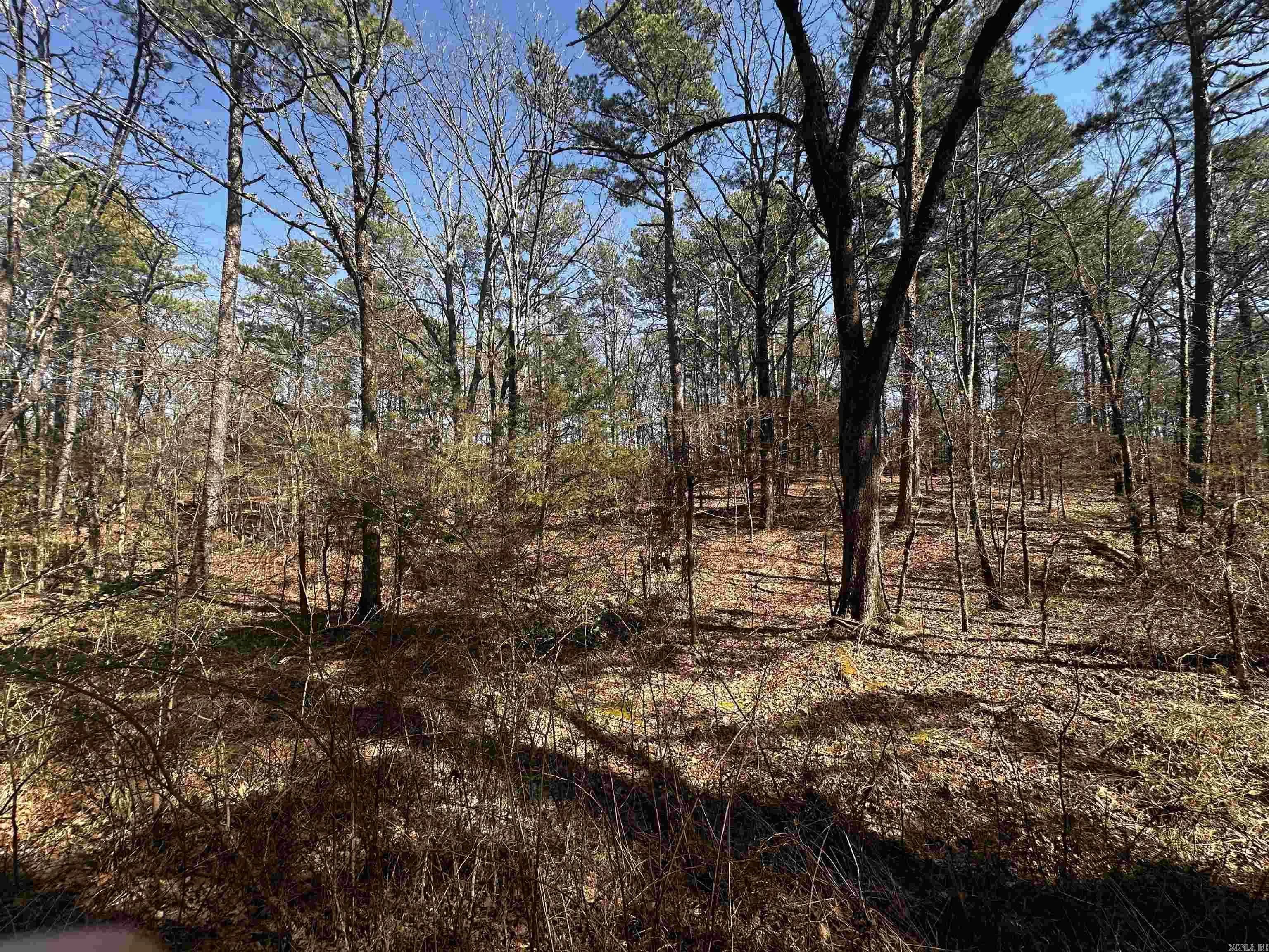 Property at 198  Cathedral pines ln - Image 15