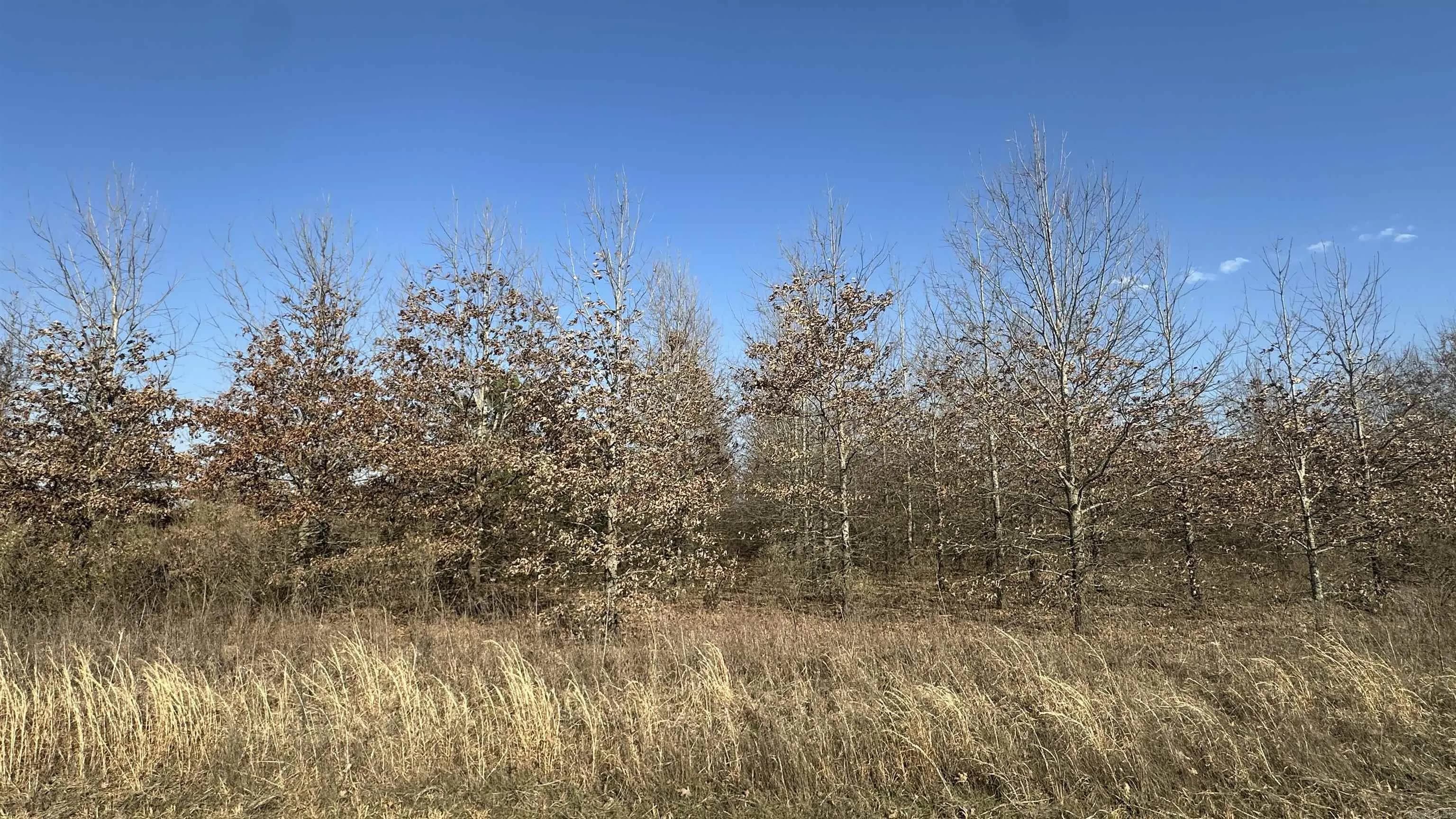 Property at 000  Moody rd. - Image 16