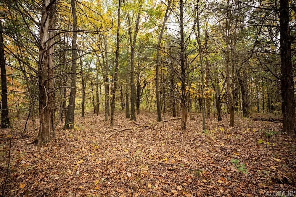 Property at Cr 663 - Image 10
