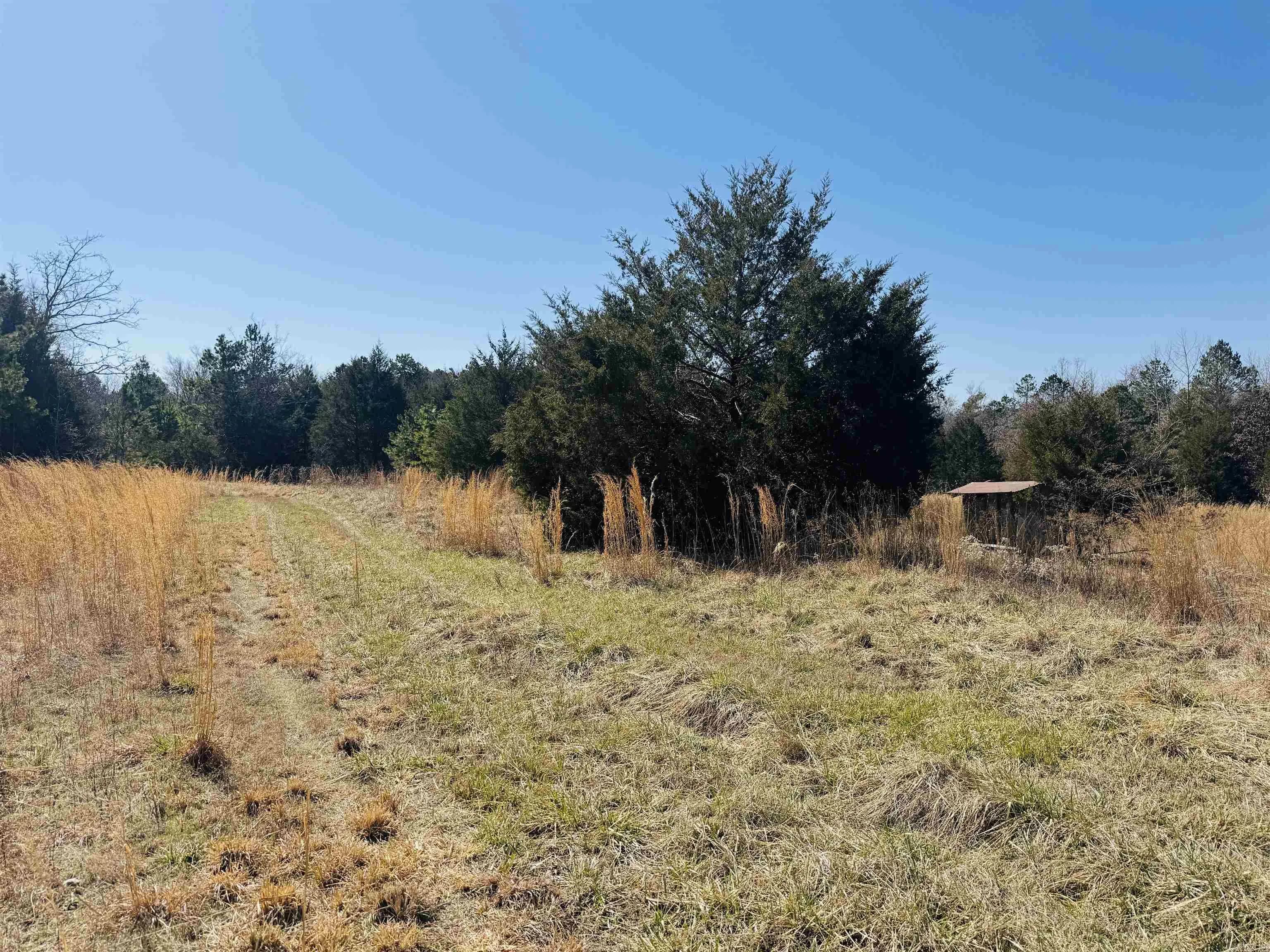 Property at 195  Finley - Image 28