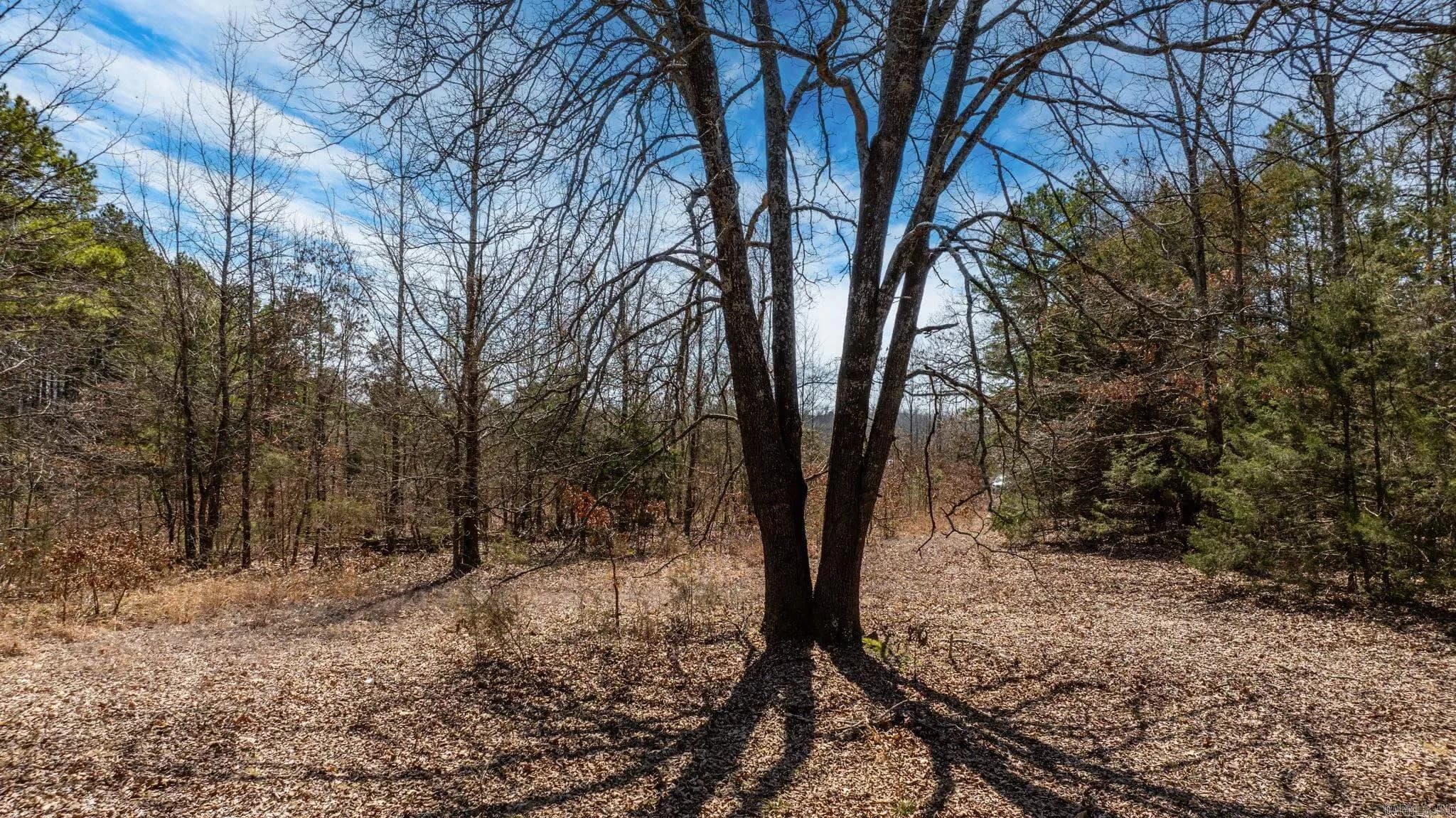 Property at 840  Old gin rd - Image 48