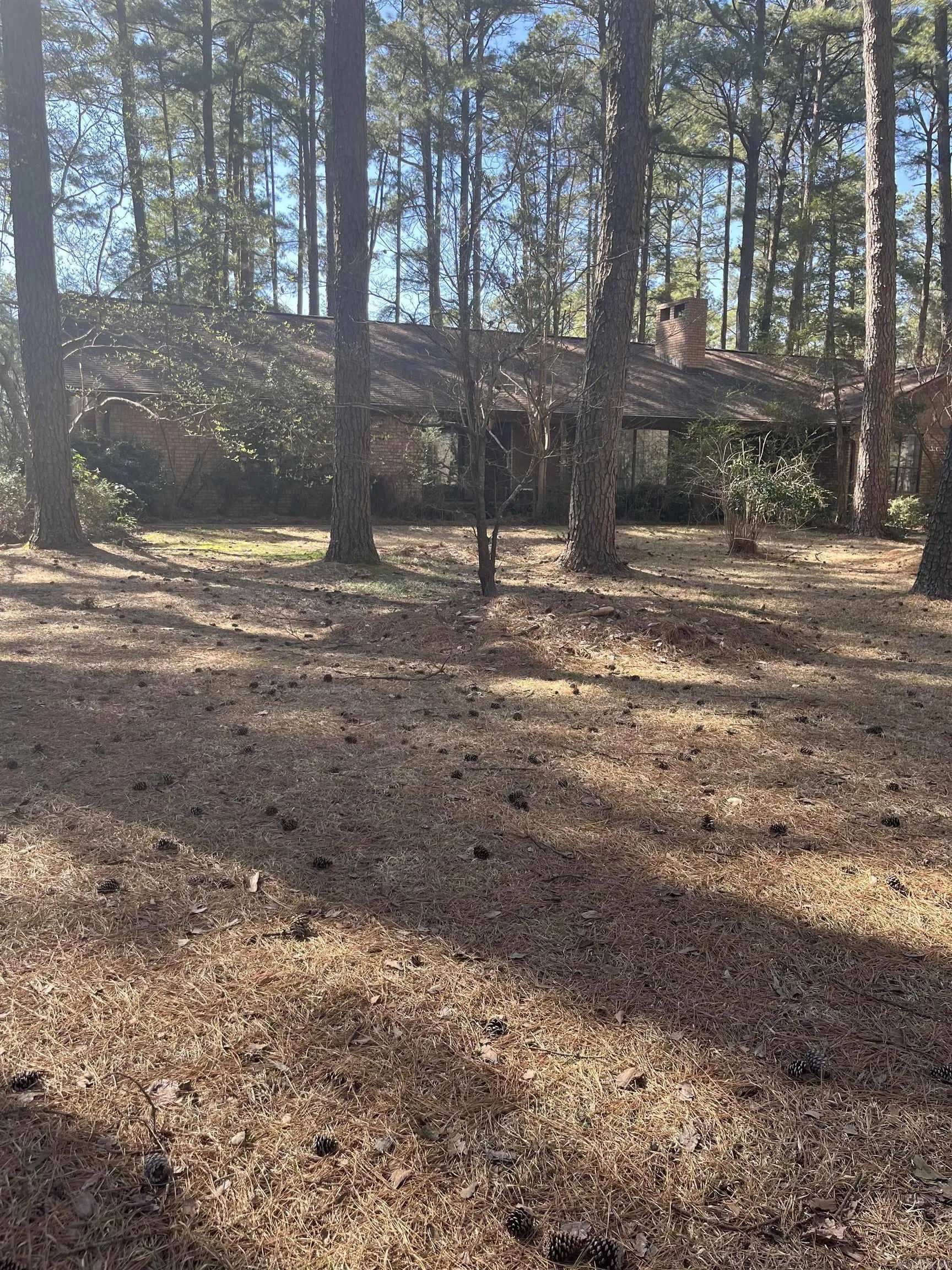 Property at 224  Chinquepin - Image 1