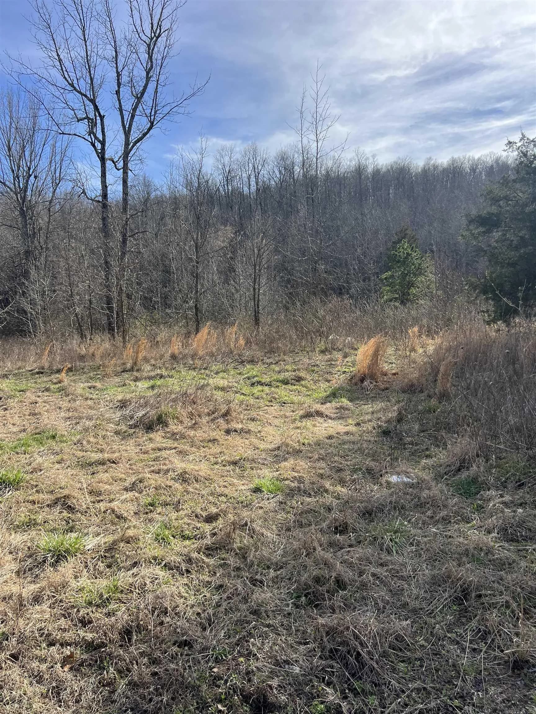 Property at 1709  Old 66 rd. - Image 17