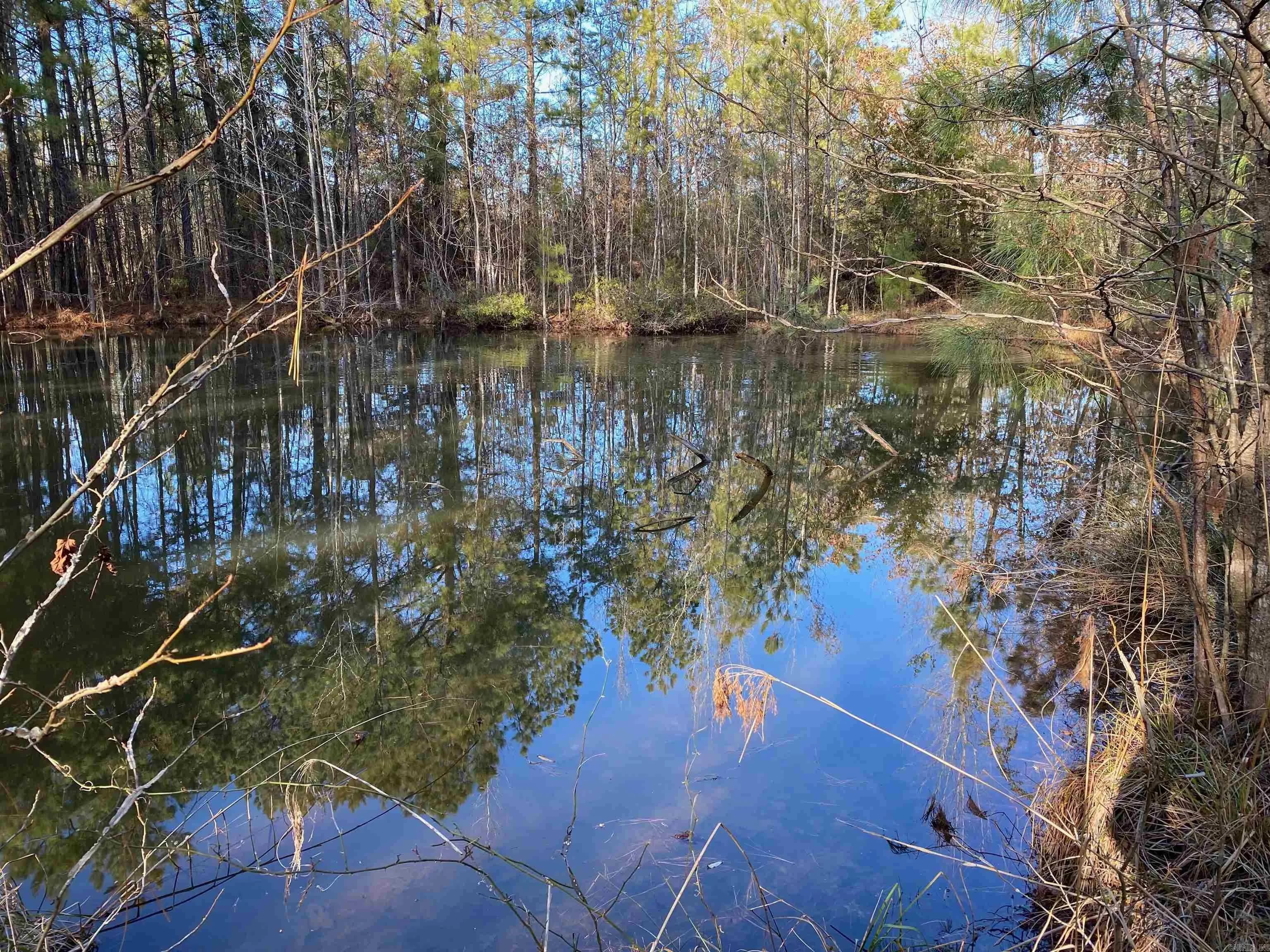 Property at 4631  Hwy 229 - Image 35