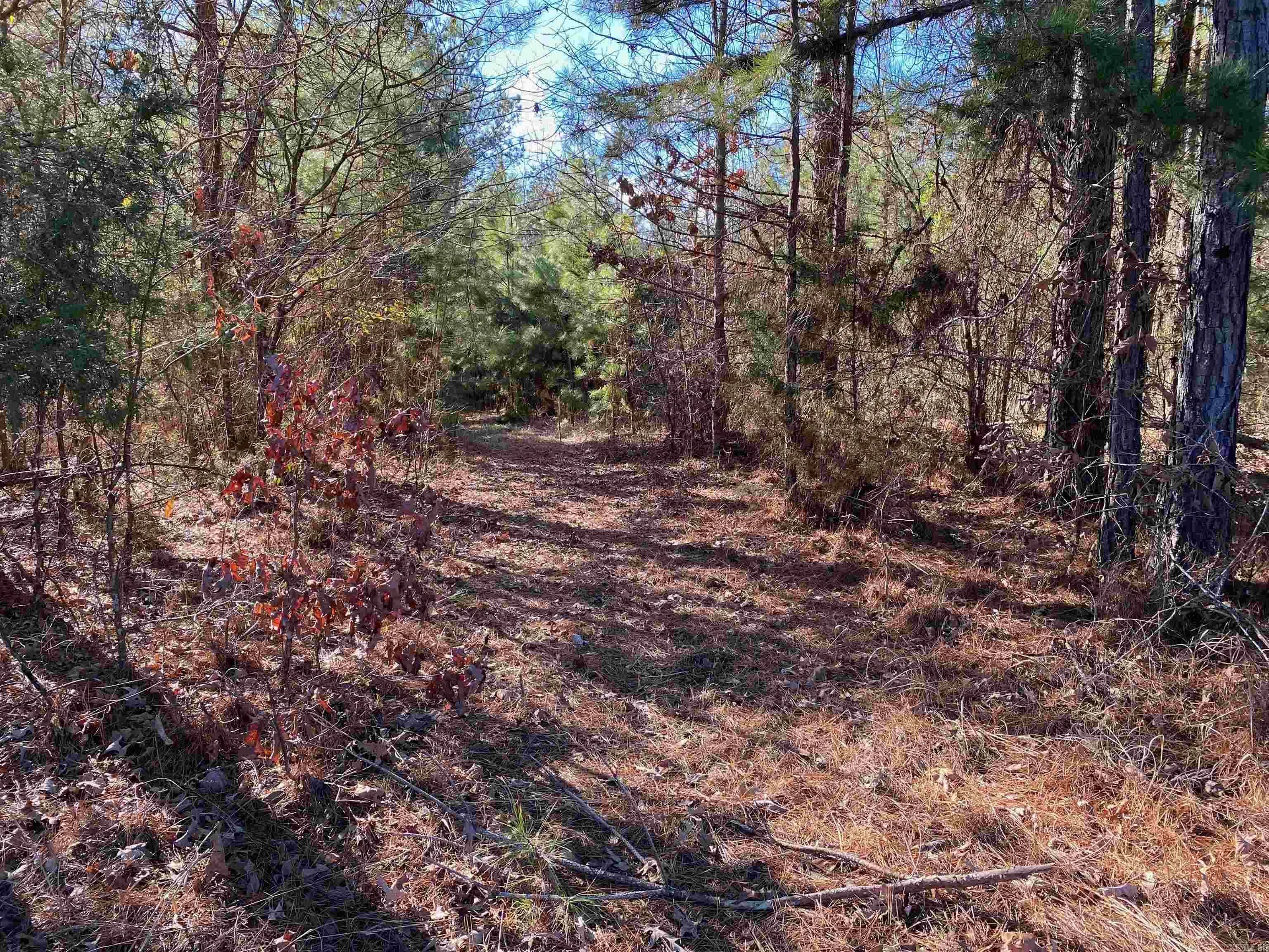 Property at 4631  Hwy 229 - Image 18