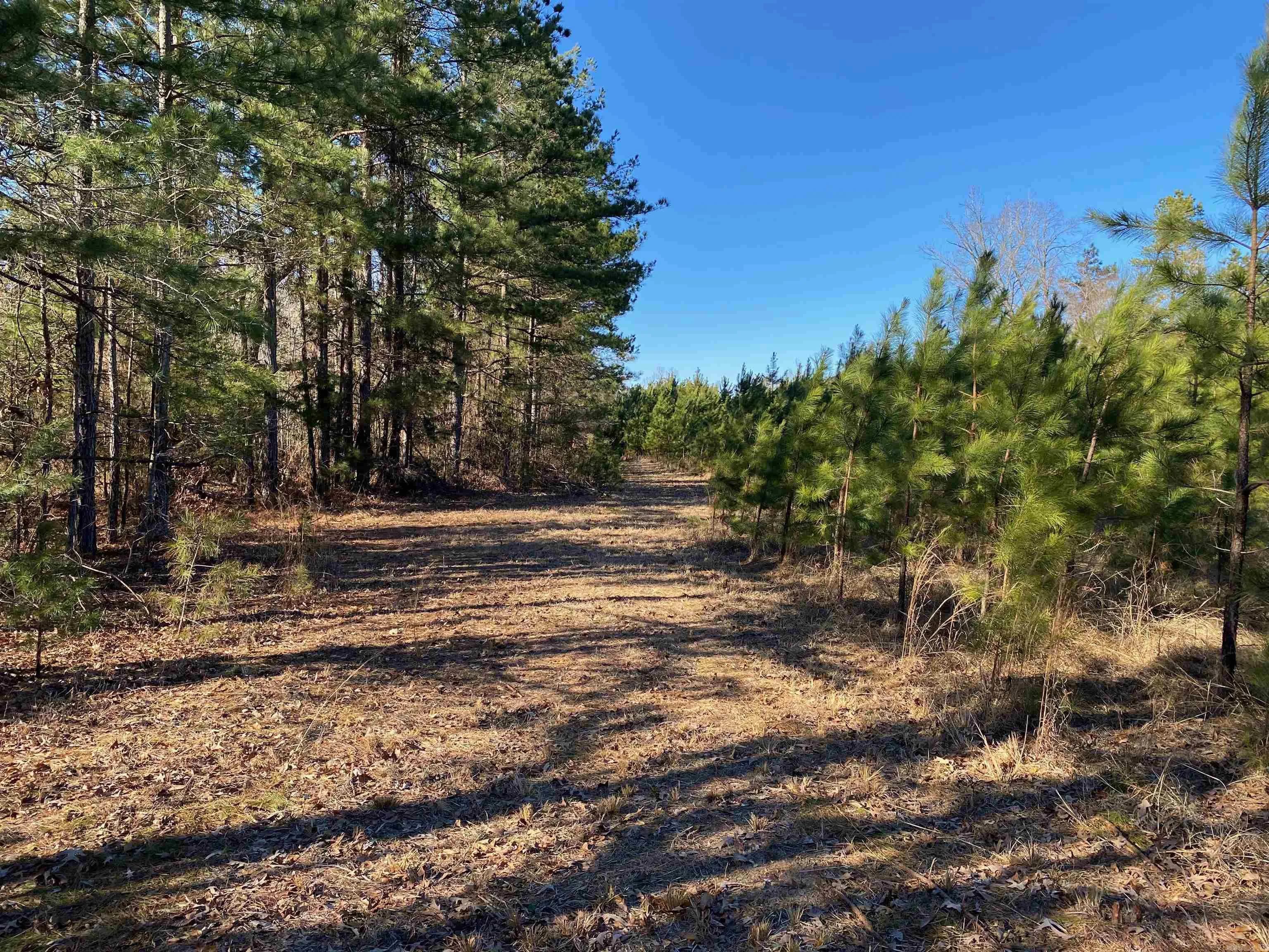 Property at 4631  Hwy 229 - Image 28