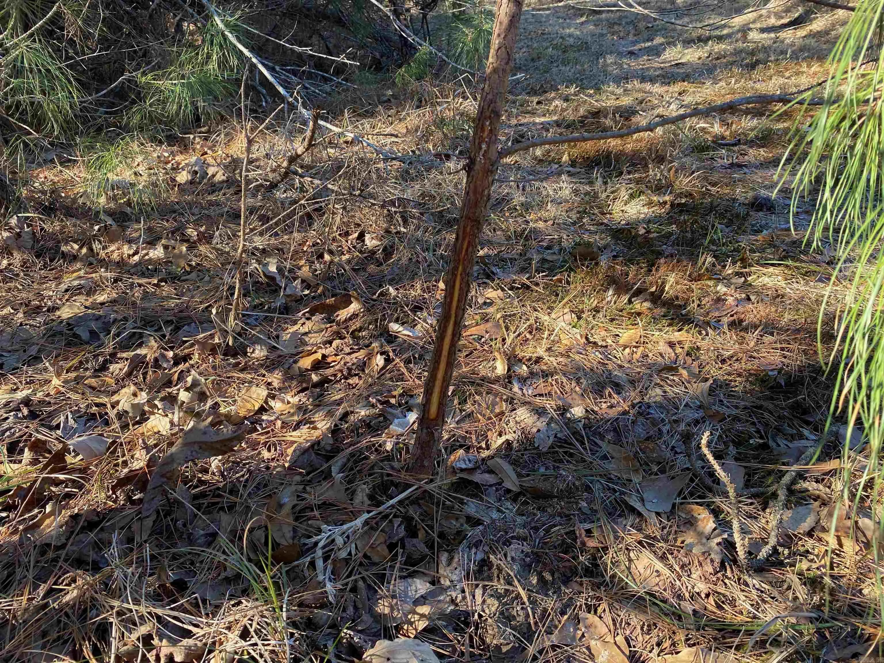 Property at 4631  Hwy 229 - Image 24