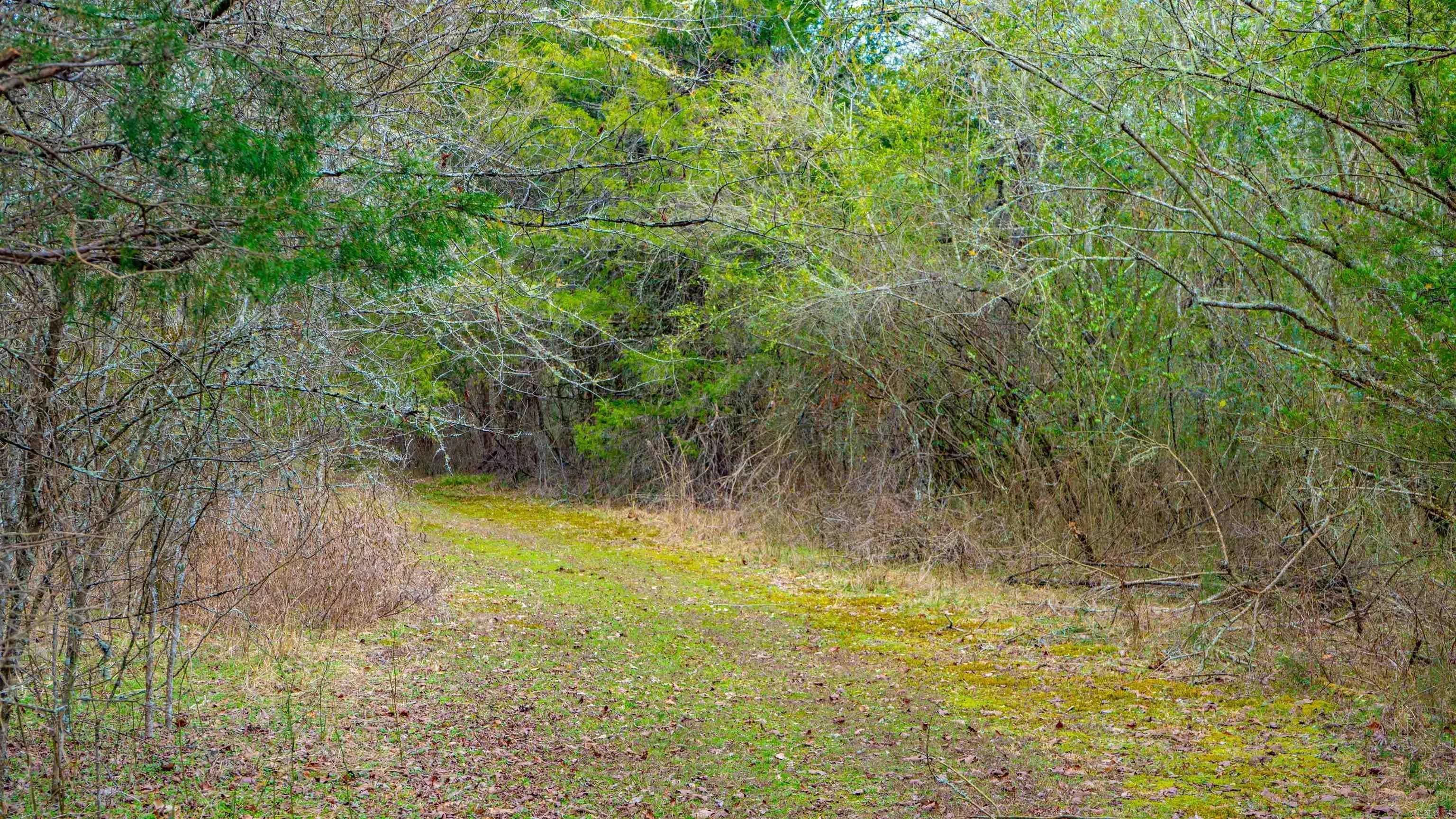 Property at 170  Rock springs - Image 5