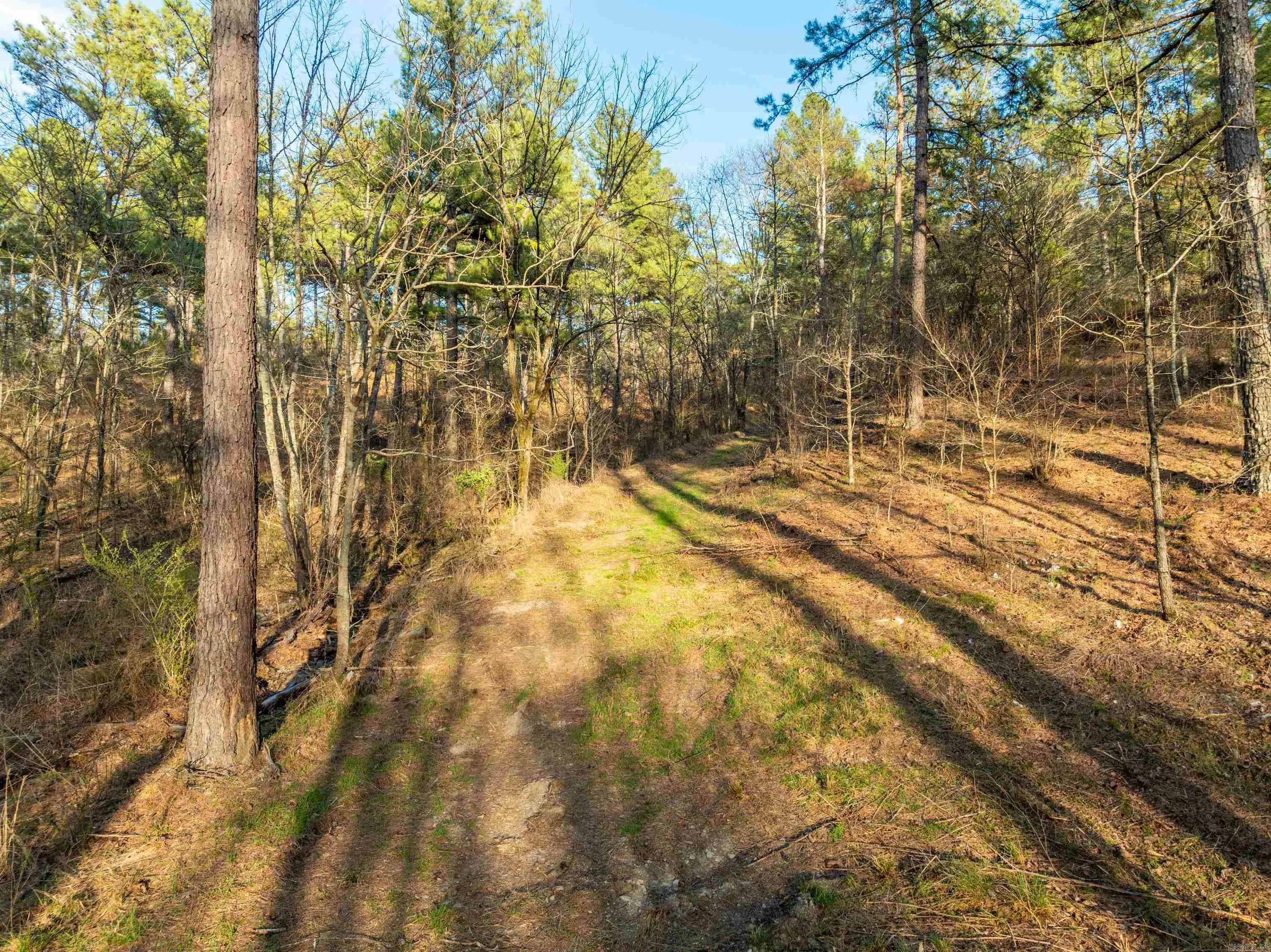 Property at TBD  Cedar creek - Image 14