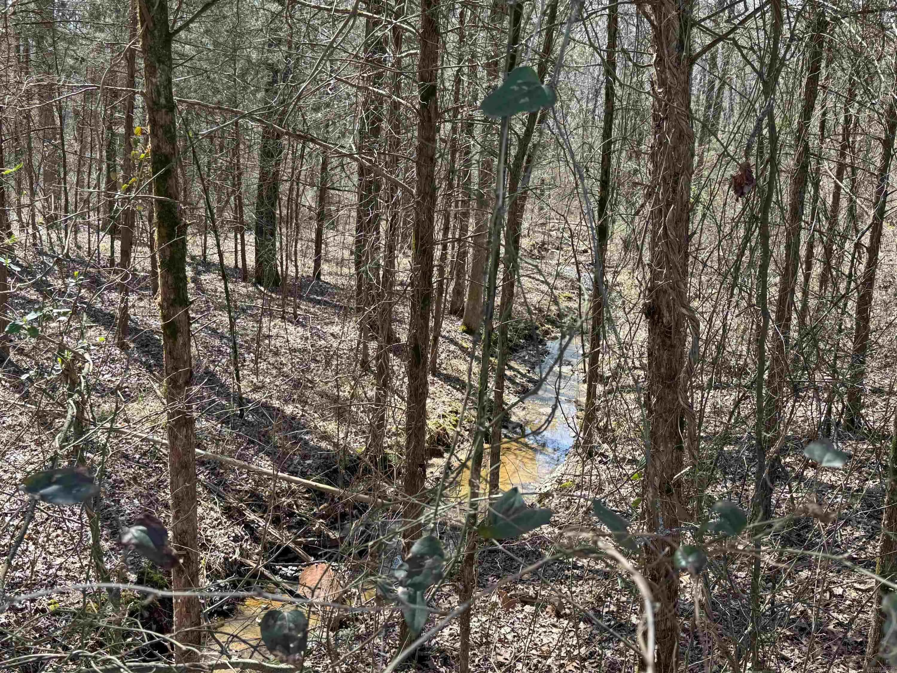 Property at 1459  Fairbanks - Image 47