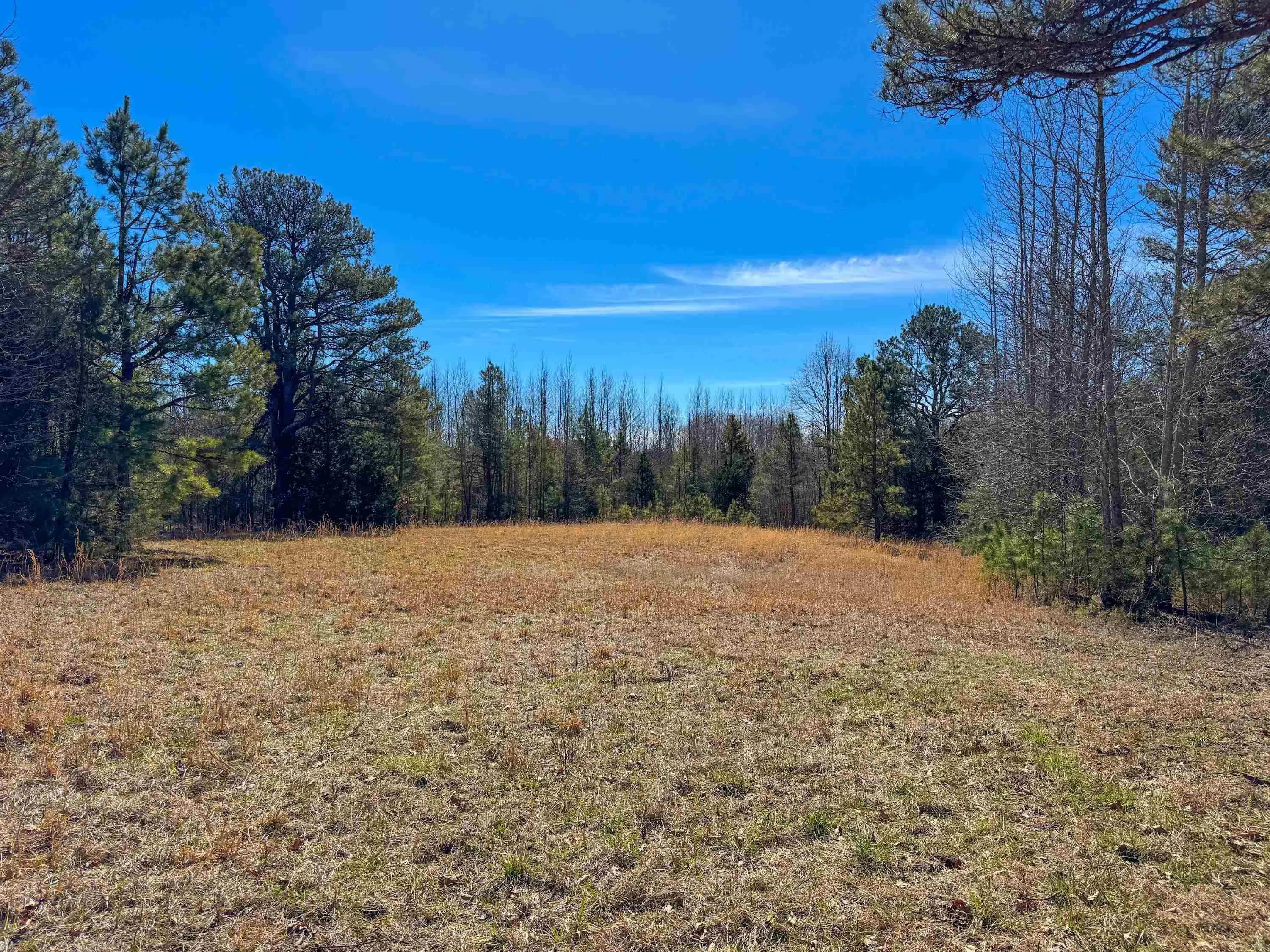 Property at 1459  Fairbanks - Image 26