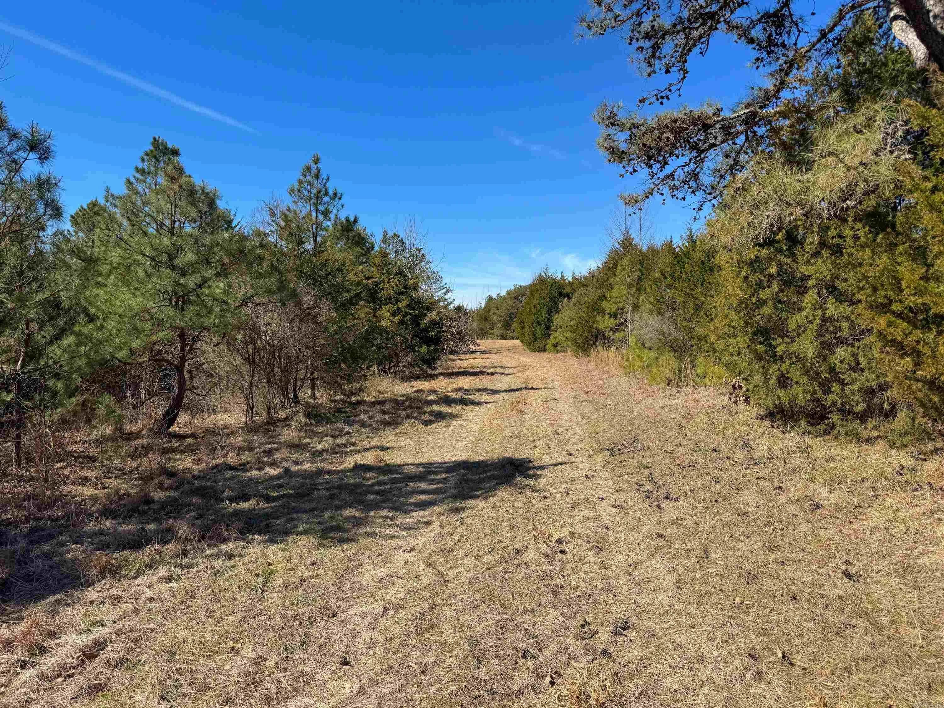 Property at 1459  Fairbanks - Image 16