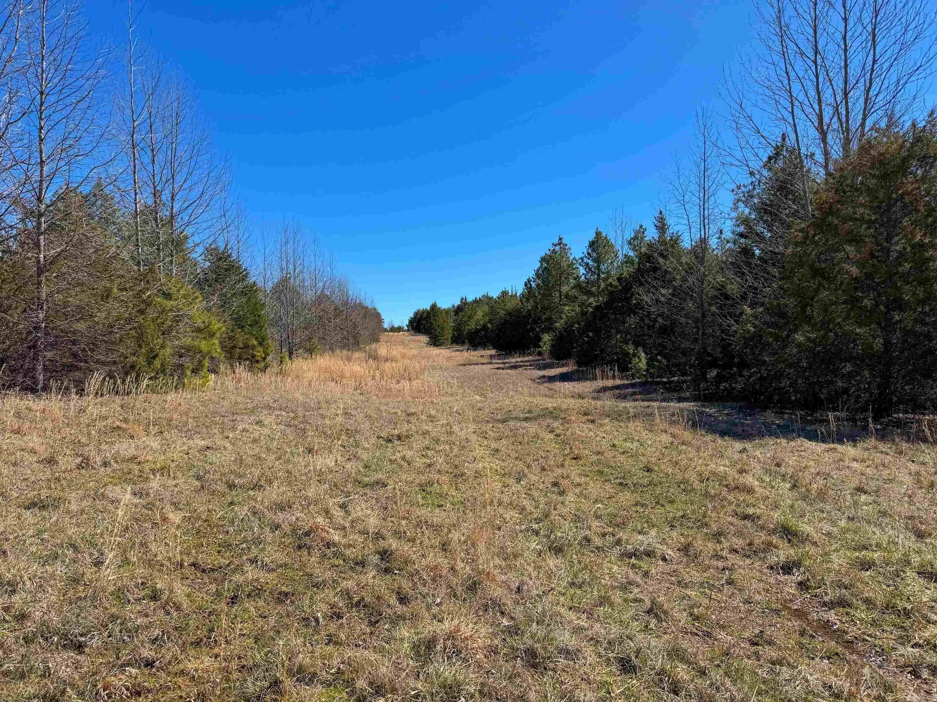 Property at 1459  Fairbanks - Image 27