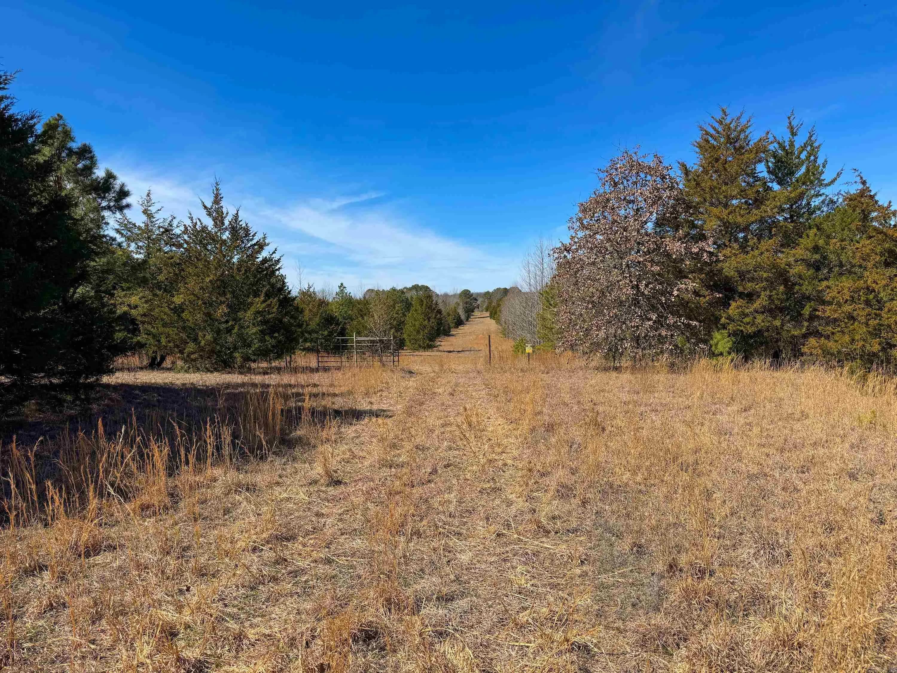 Property at 1459  Fairbanks - Image 32