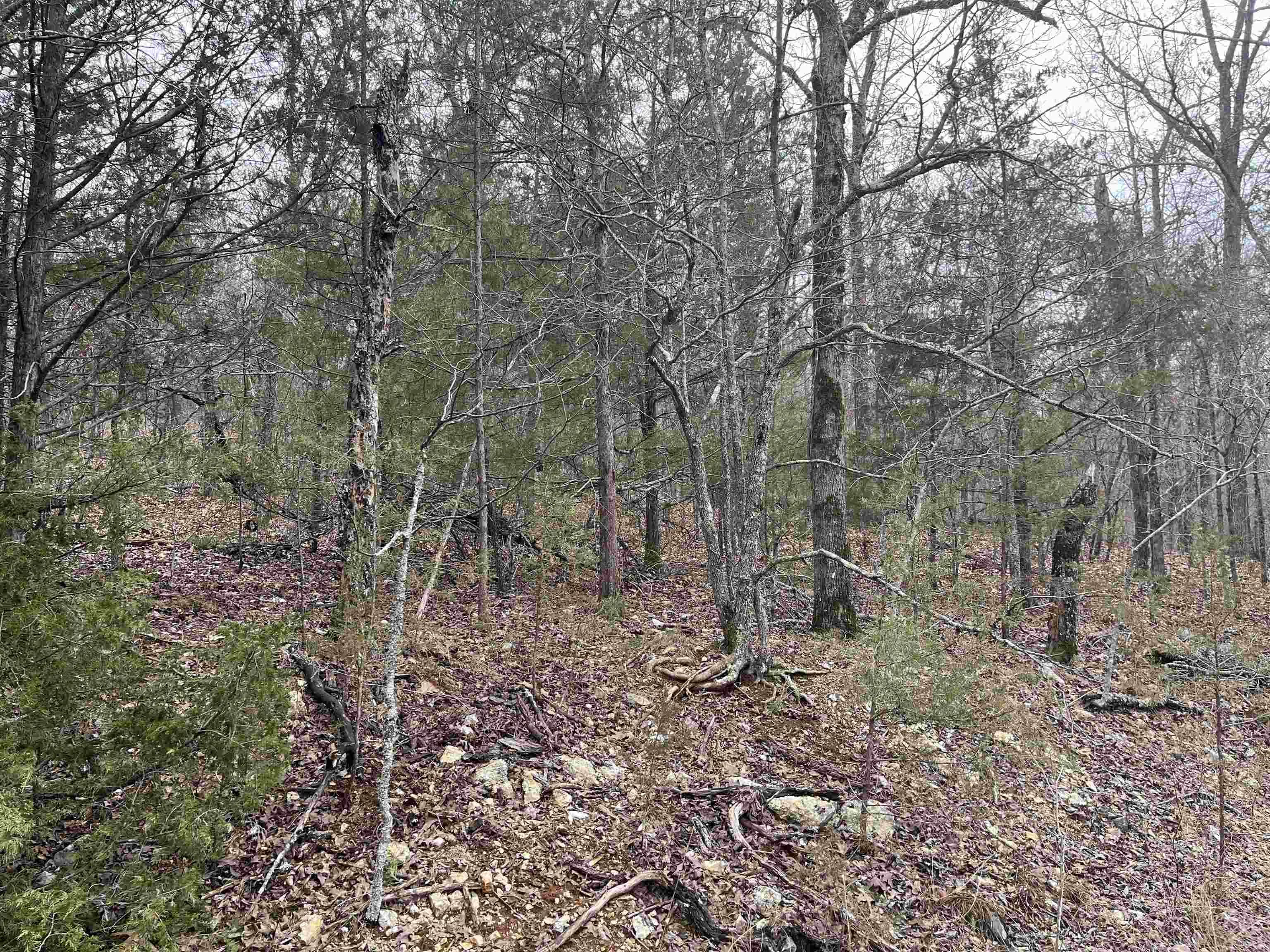 Property at TBD  Owasso lane - Image 3