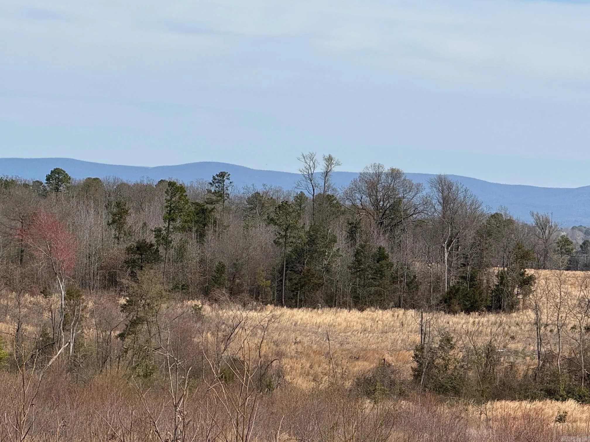 Property at TBD  Polk road 32 - Image 5