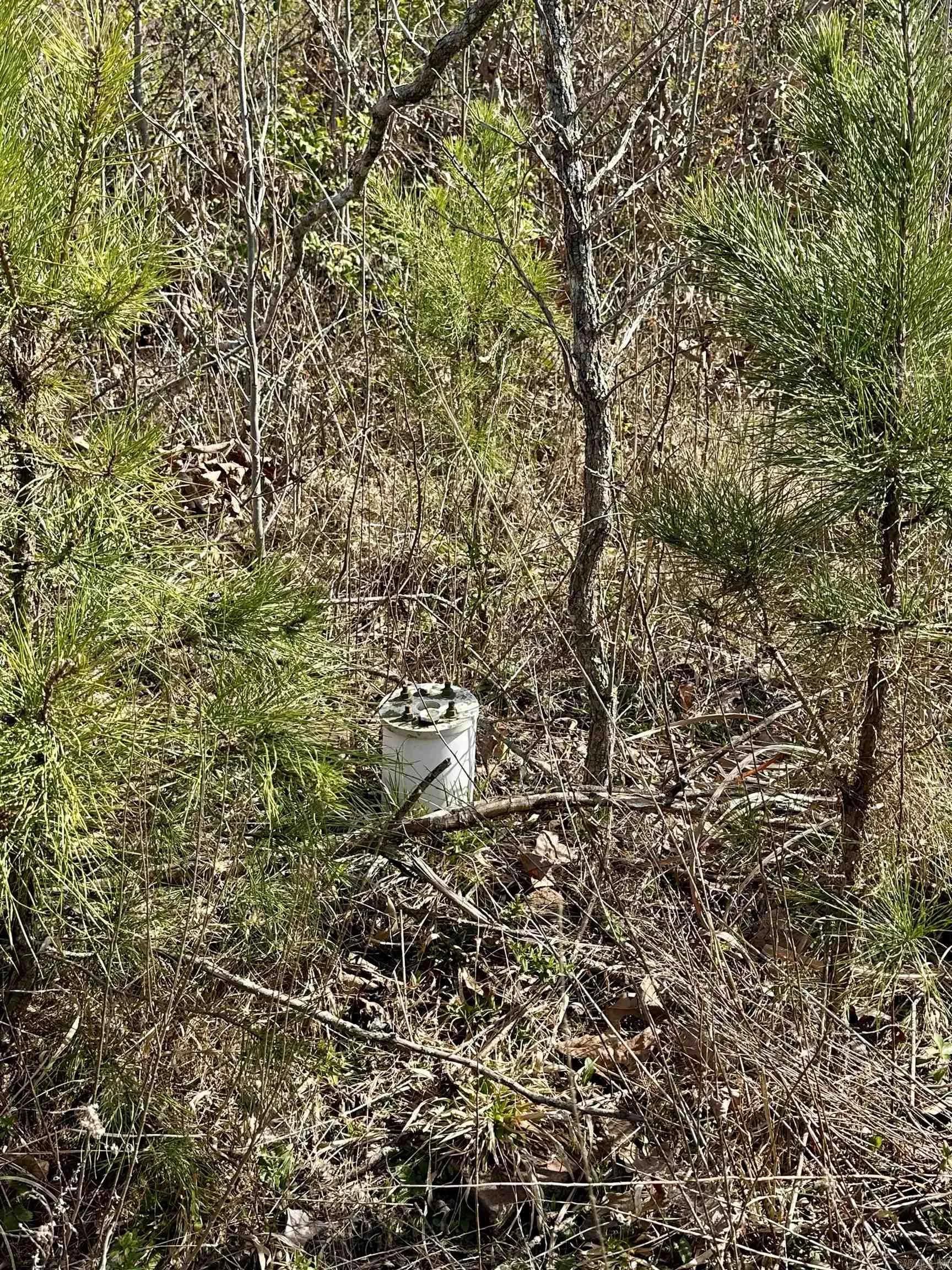 Property at TBD  Polk road 32 - Image 3