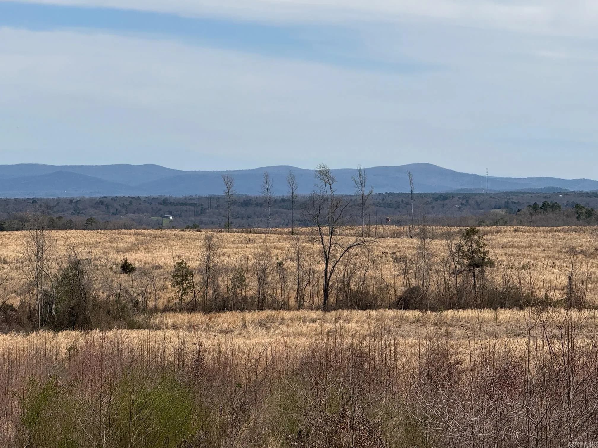 Property at TBD  Polk road 32 - Image 1