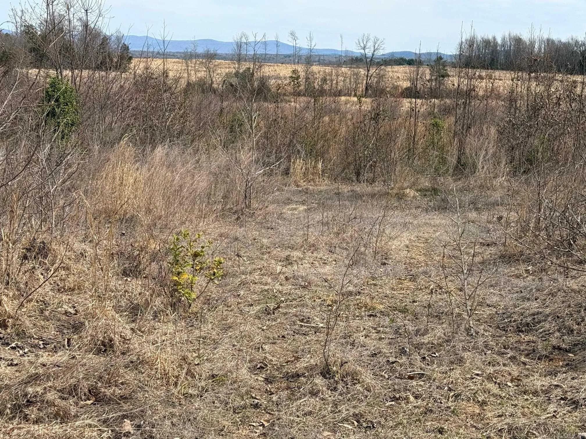 Property at TBD  Polk road 32 - Image 4