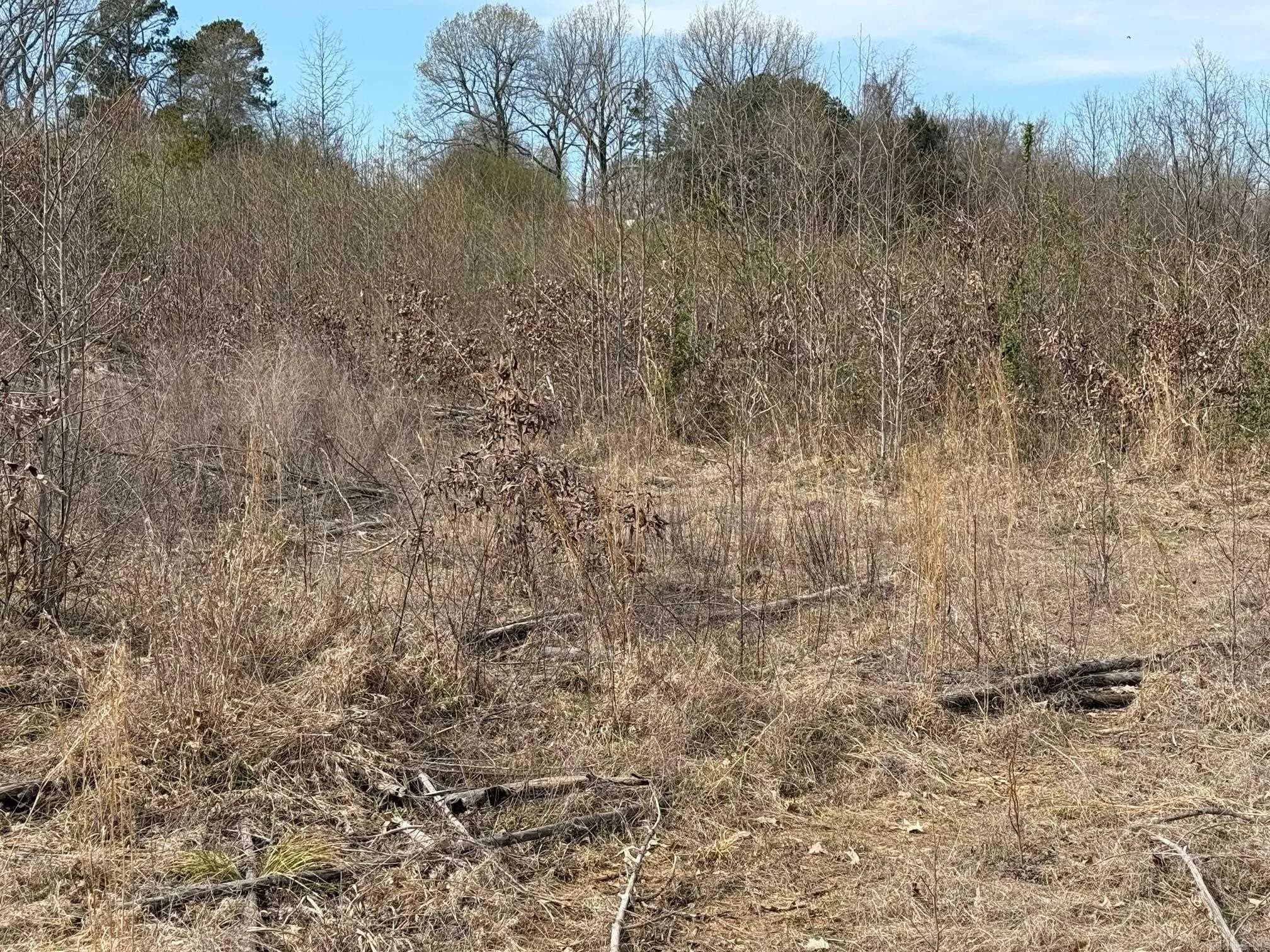 Property at TBD  Polk road 32 - Image 10