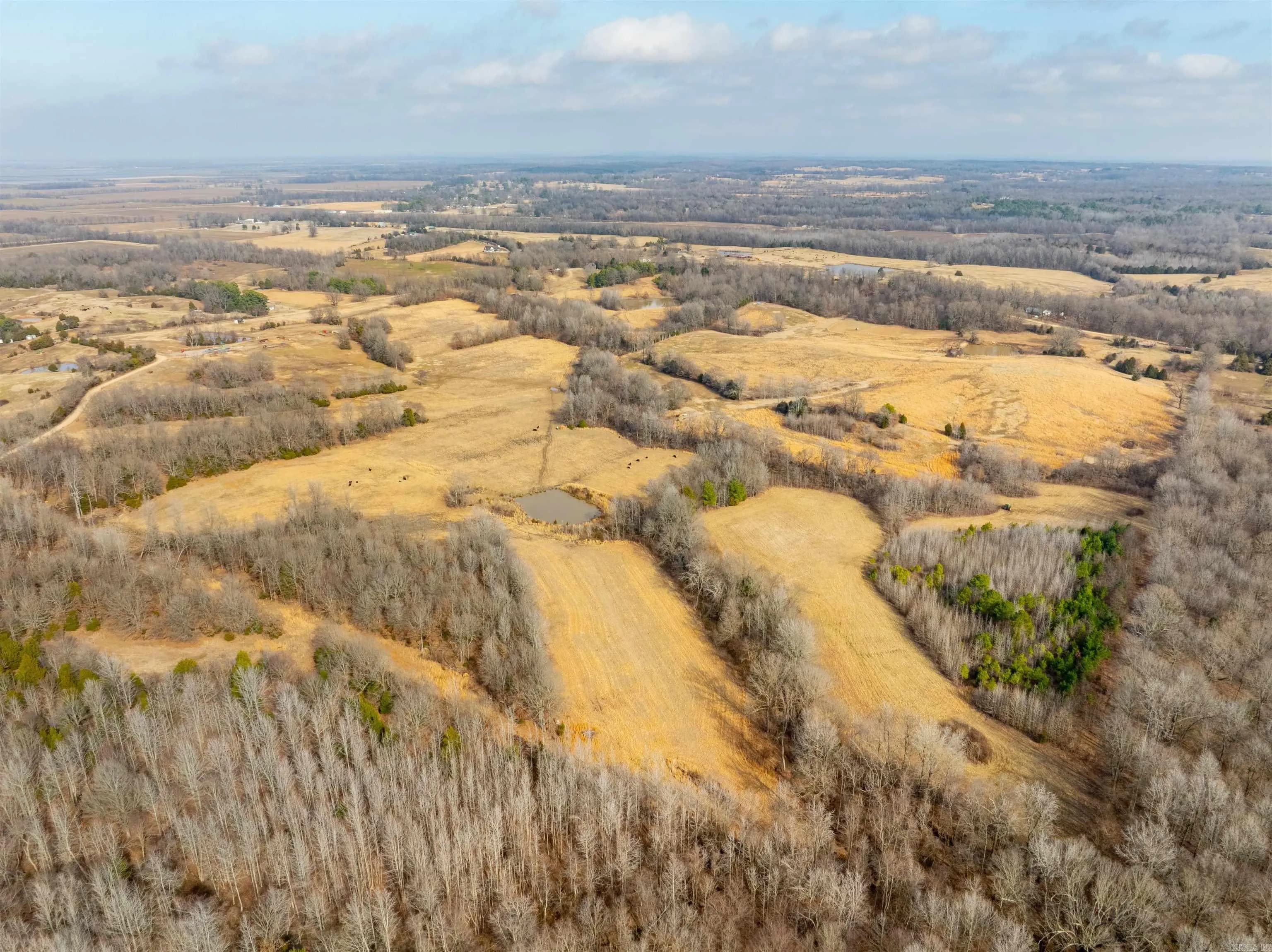 Property at 0  Clay 460 rd - Image 1