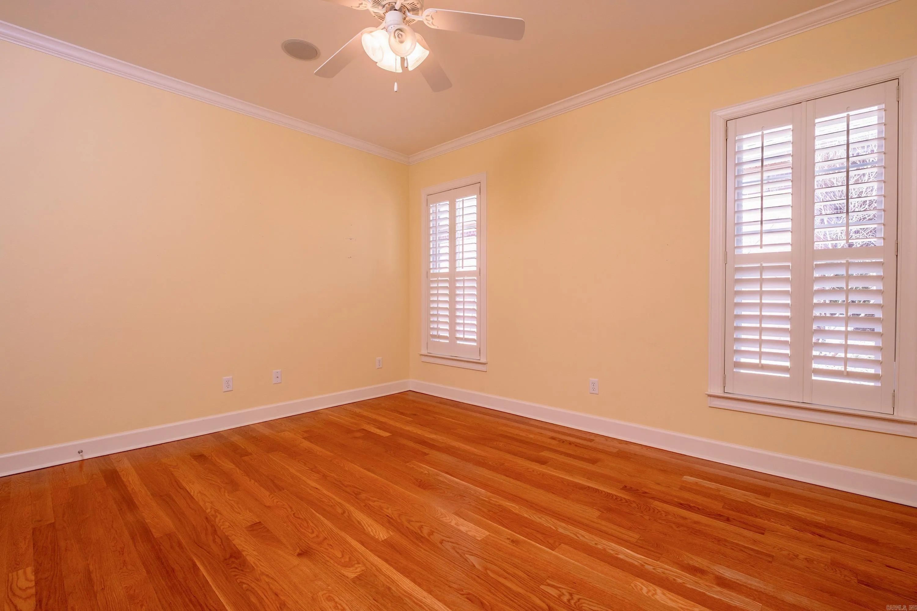Property at 170  Blackburn - Image 37