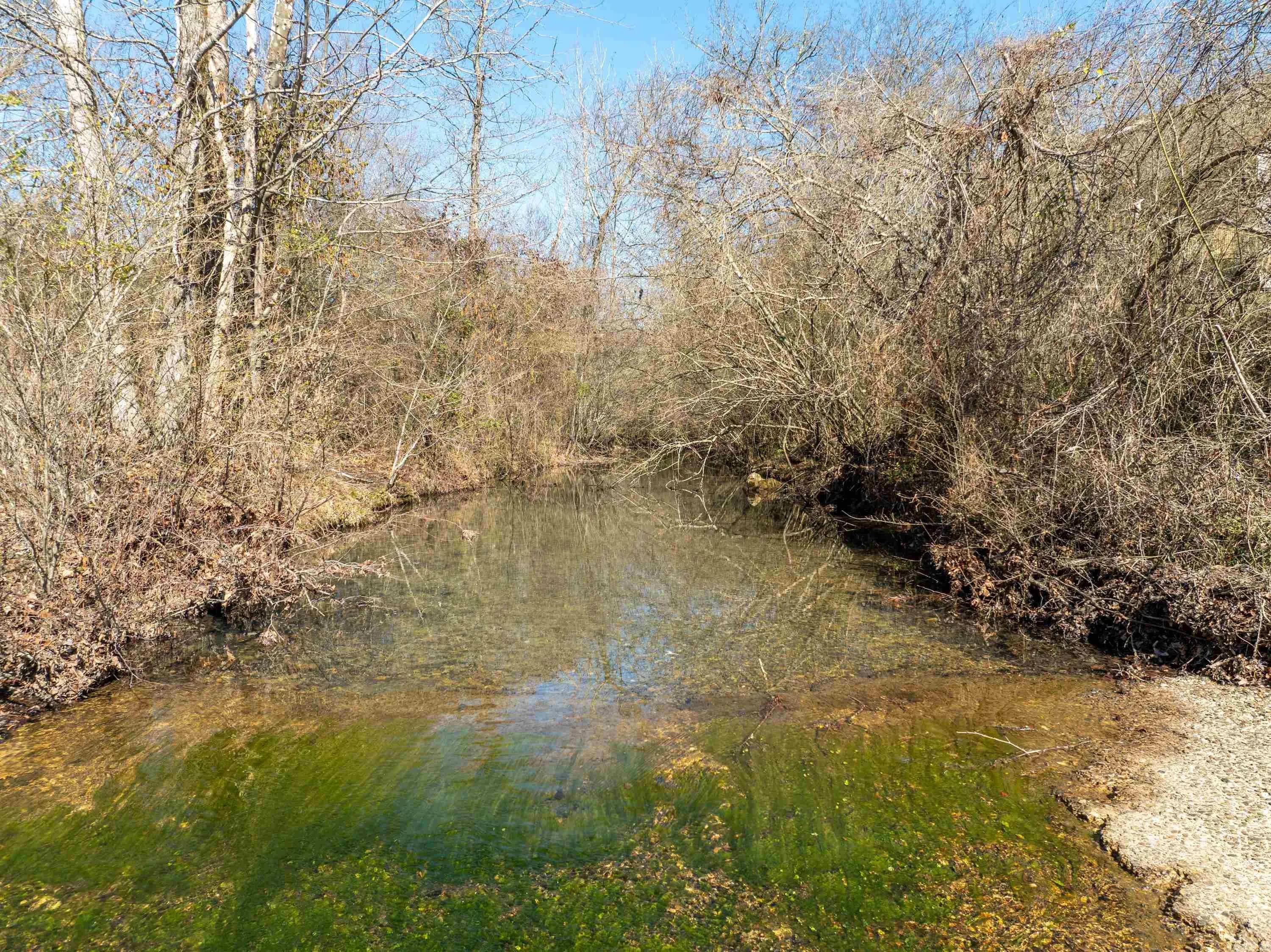 Property at 2017  Owl creek road - Image 2