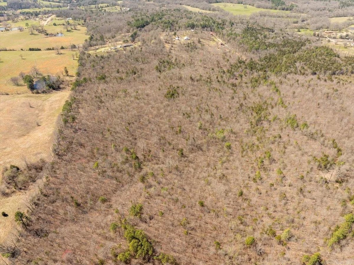Property at TBD  Sanders ln - Image 4