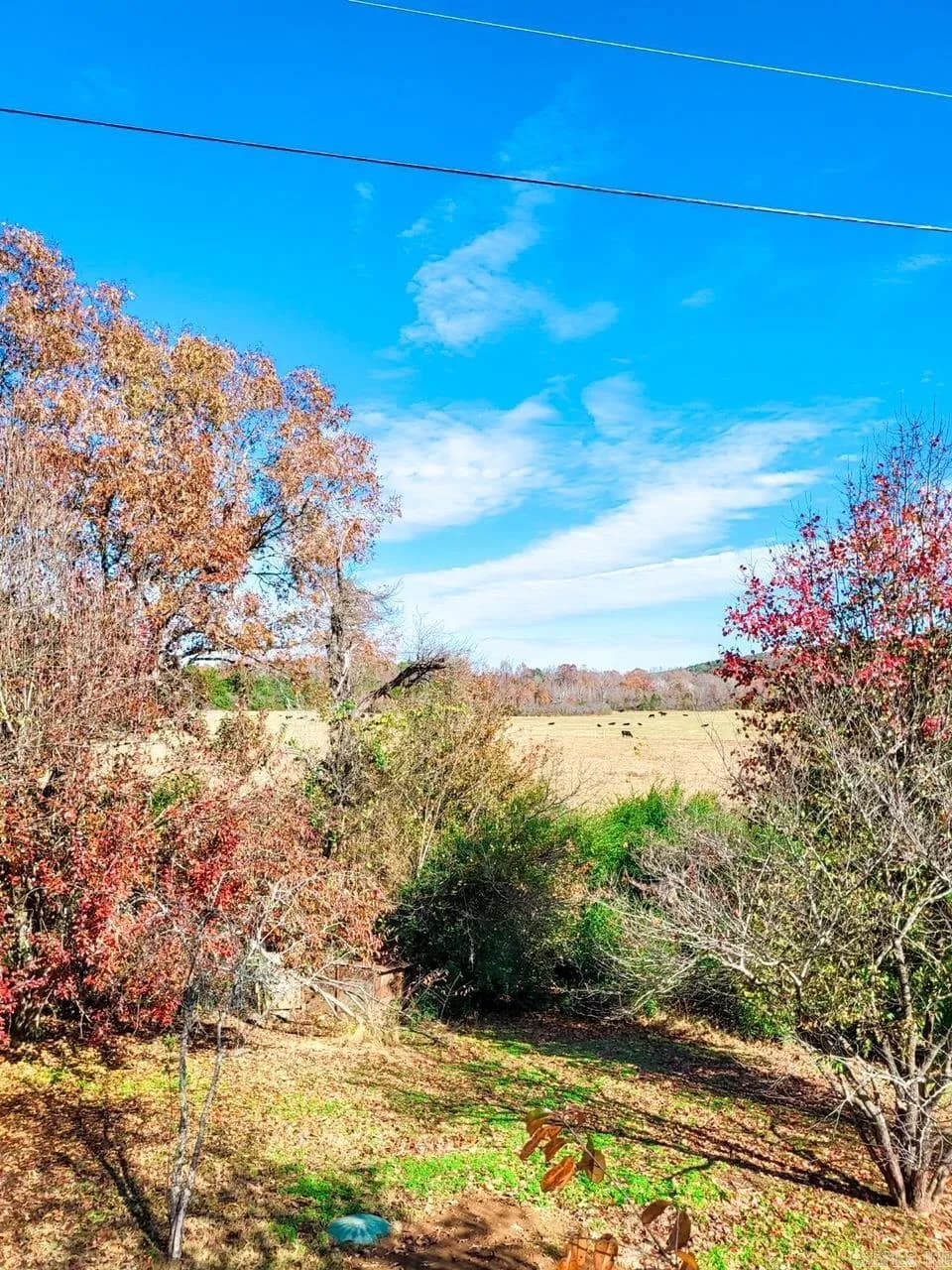 Property at 3834  Highway 9 - Image 45