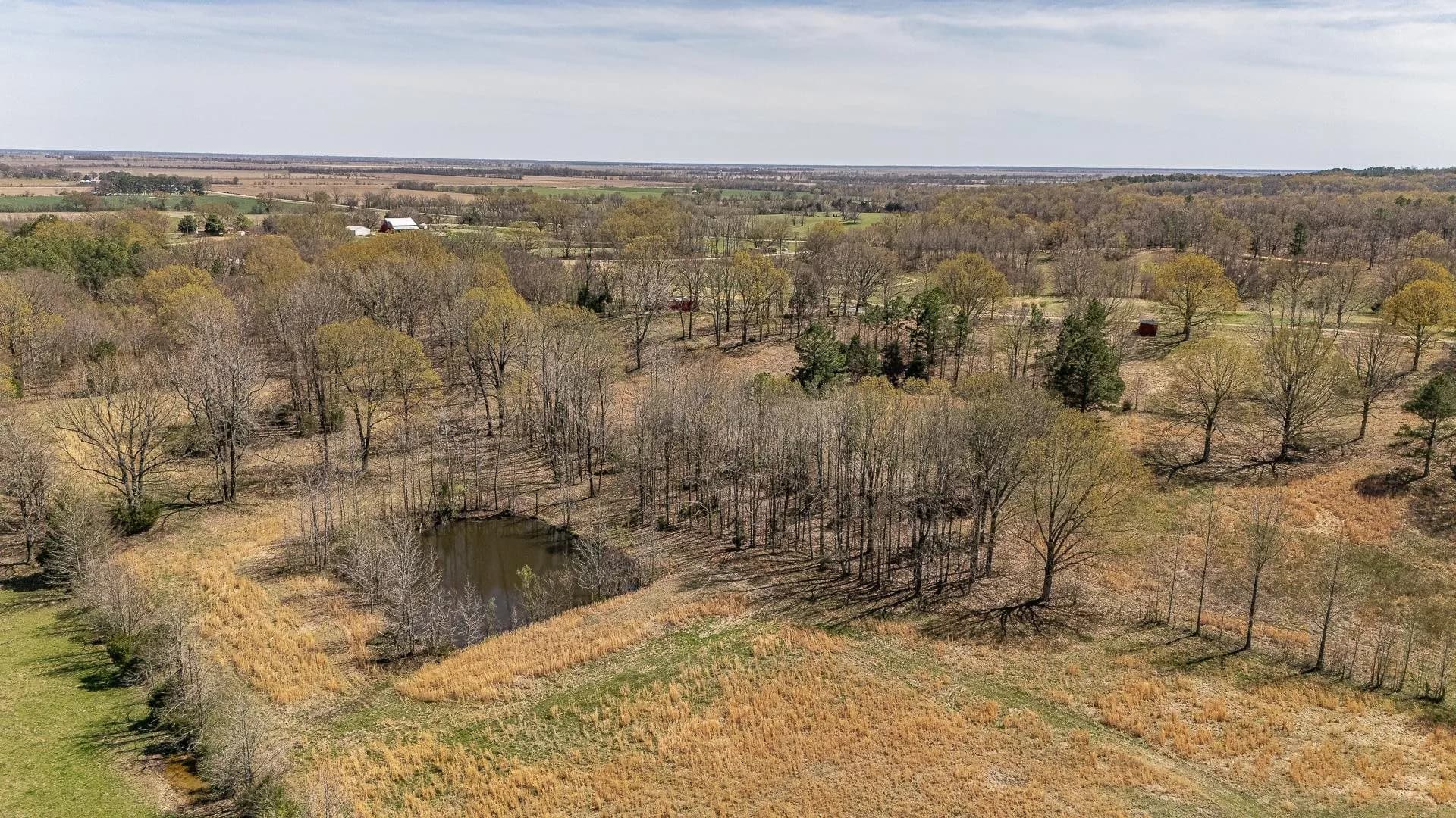 Property at 11028  Lorelei lane - Image 50