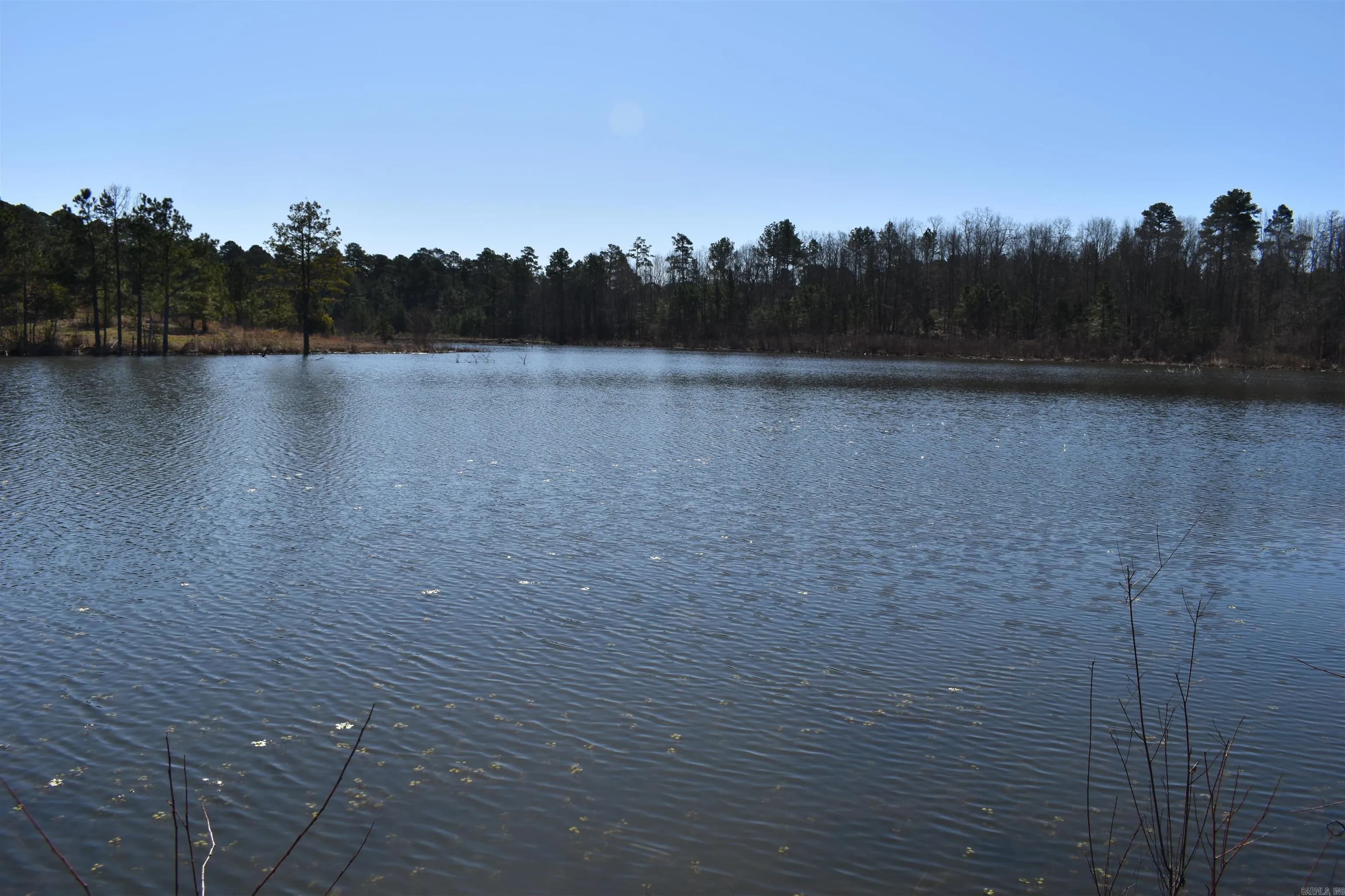 Property at 1285 N Bumblebee rd - Image 22