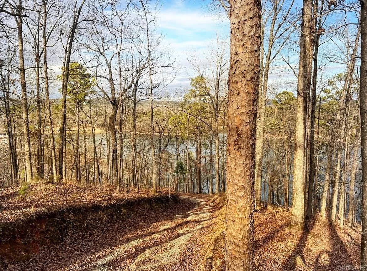 Property at 206 & 208  Avonshire - Image 1