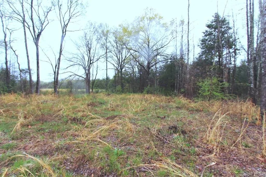 Property at 35  Watson - Image 10