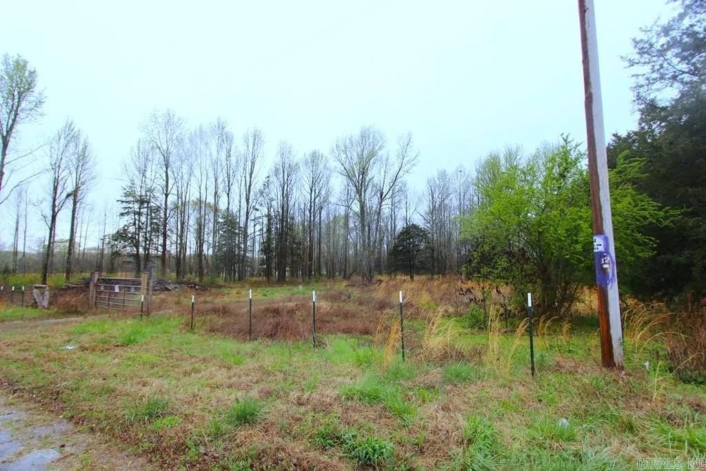 Property at 35  Watson - Image 3