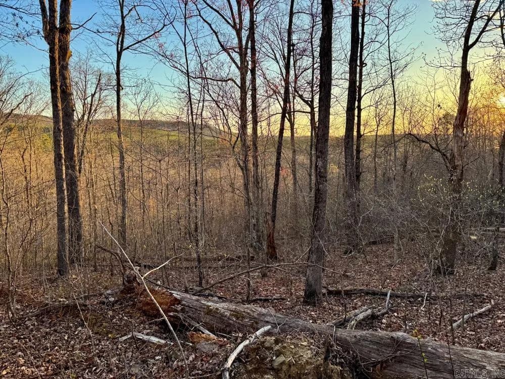 Property at 001  Fayette - Image 8