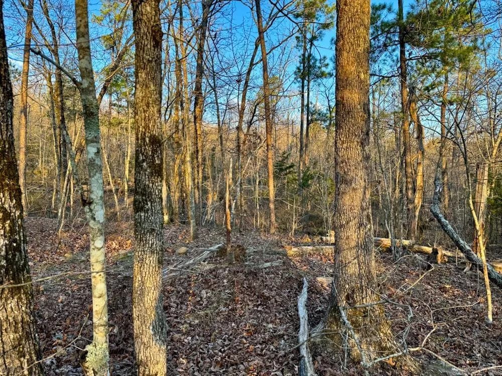 Property at 001  Fayette - Image 23
