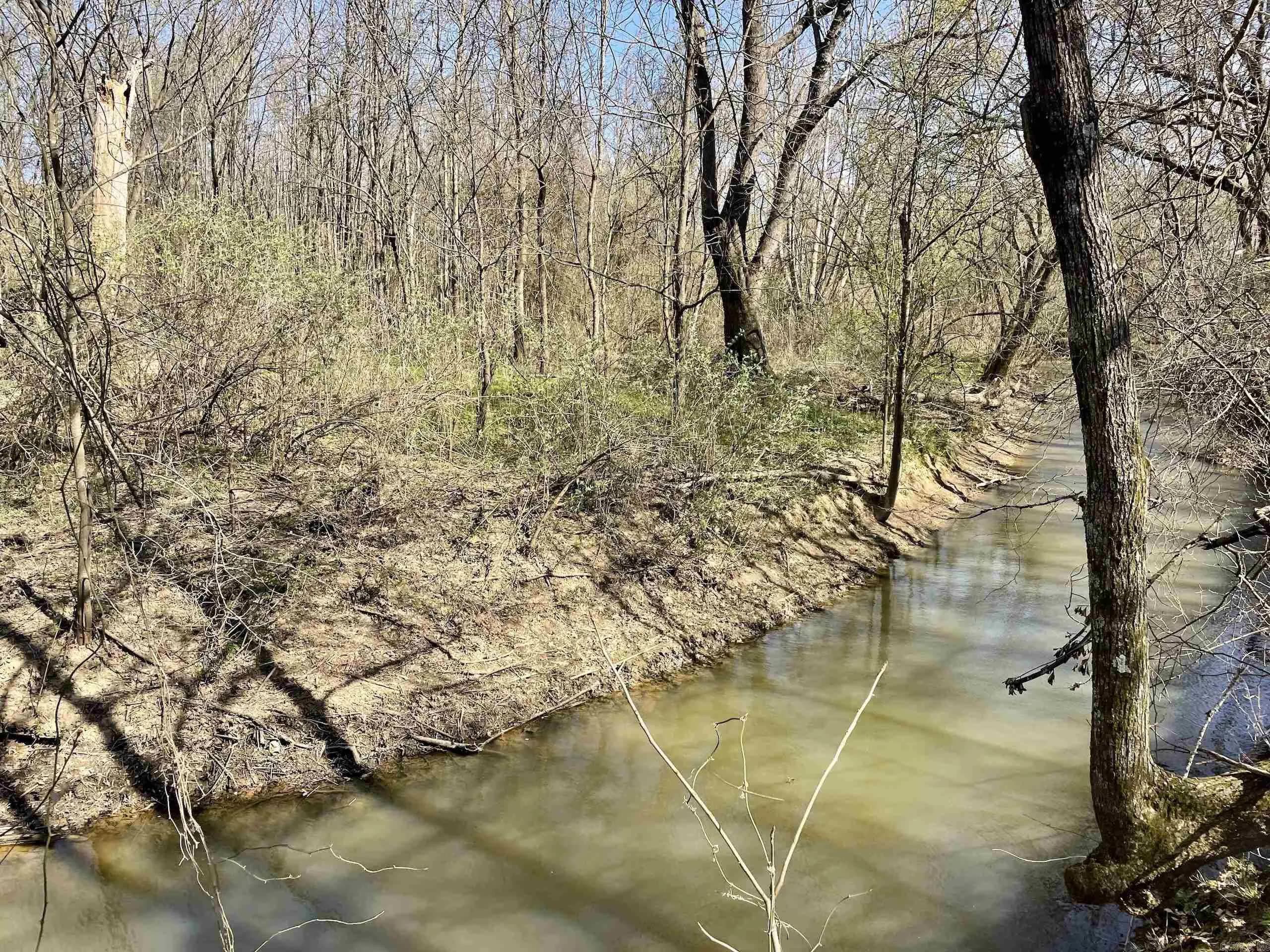 Property at 000  Walnut ridge - Image 42