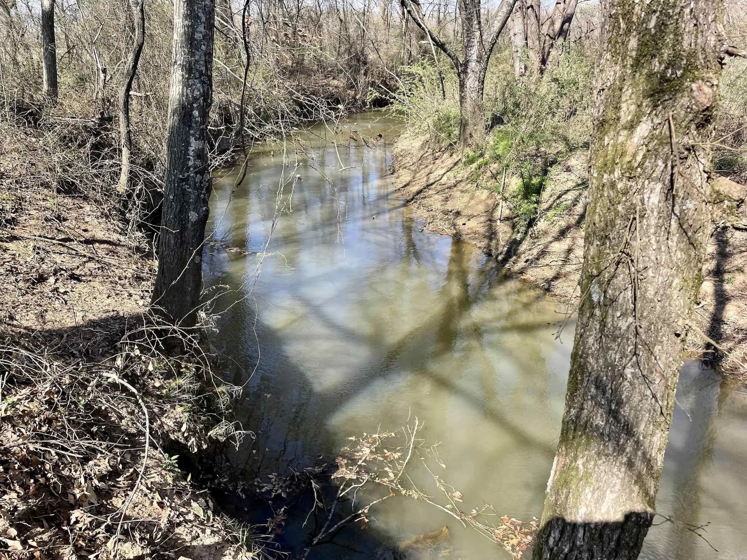 Property at 000  Walnut ridge - Image 41