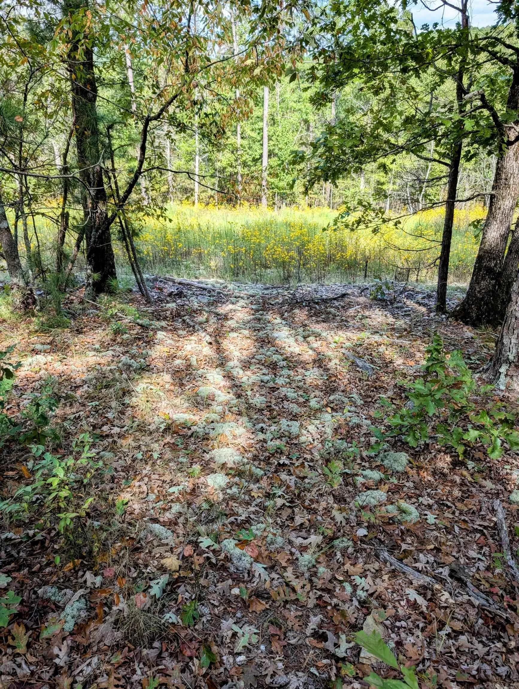Property at 64  Letrista - Image 14