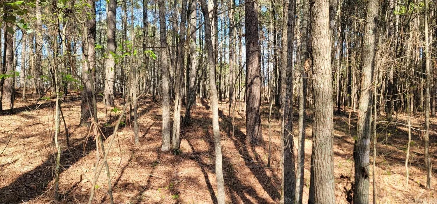 Property at 36  Gloria drive - Image 2