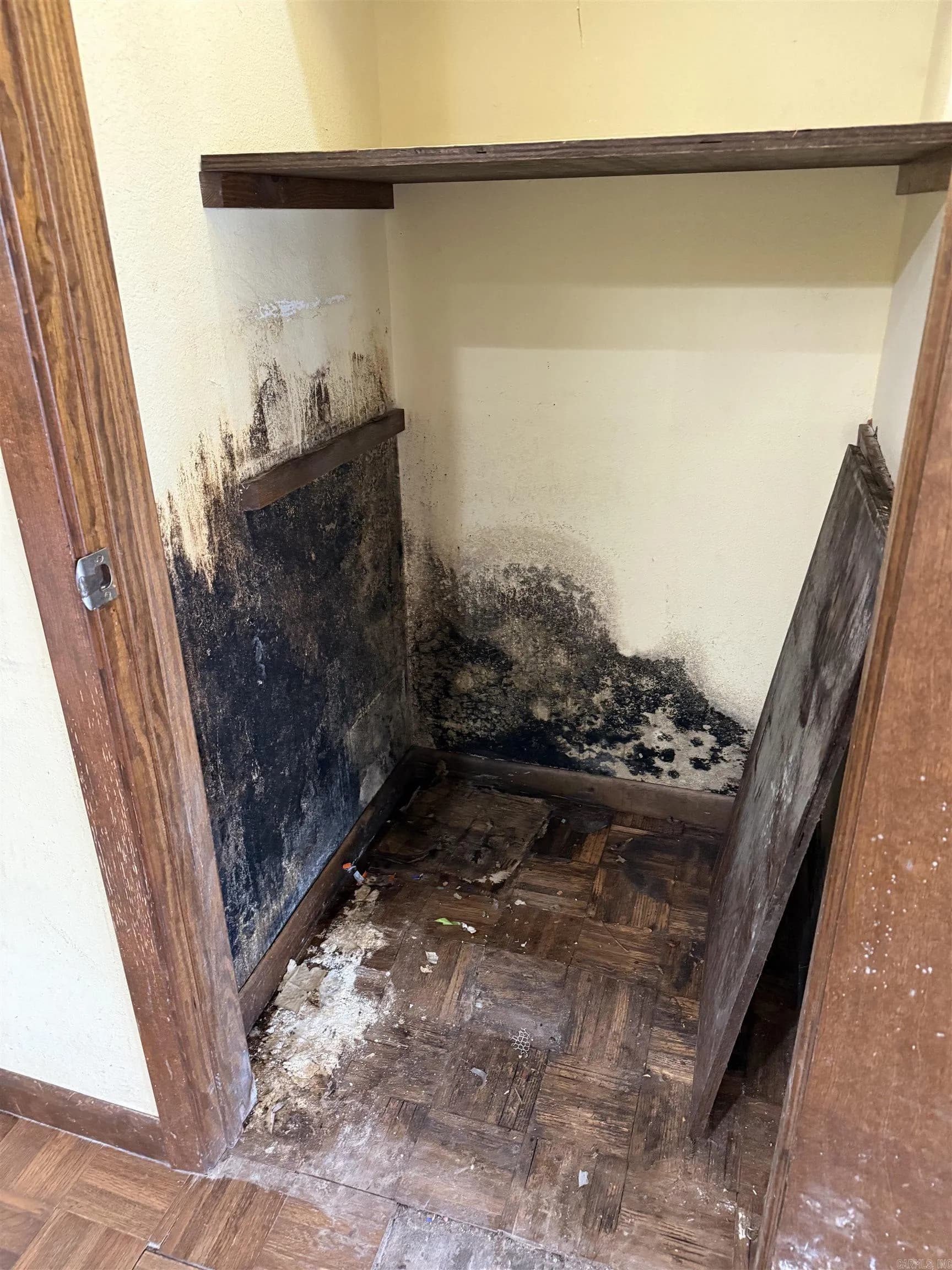 Property at 2409  Tannenbaum road - Image 6