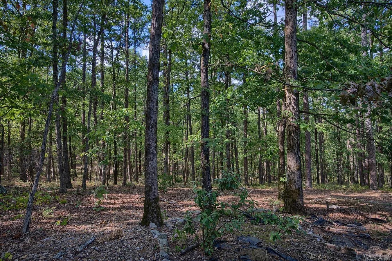 Property at 108  Castano - Image 36
